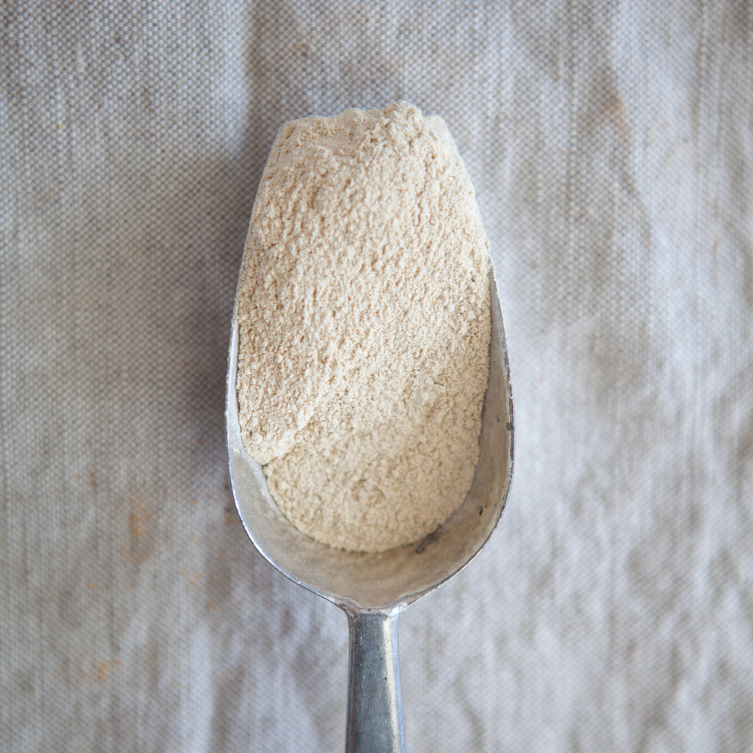 Ail en poudre (en vrac par 10g)