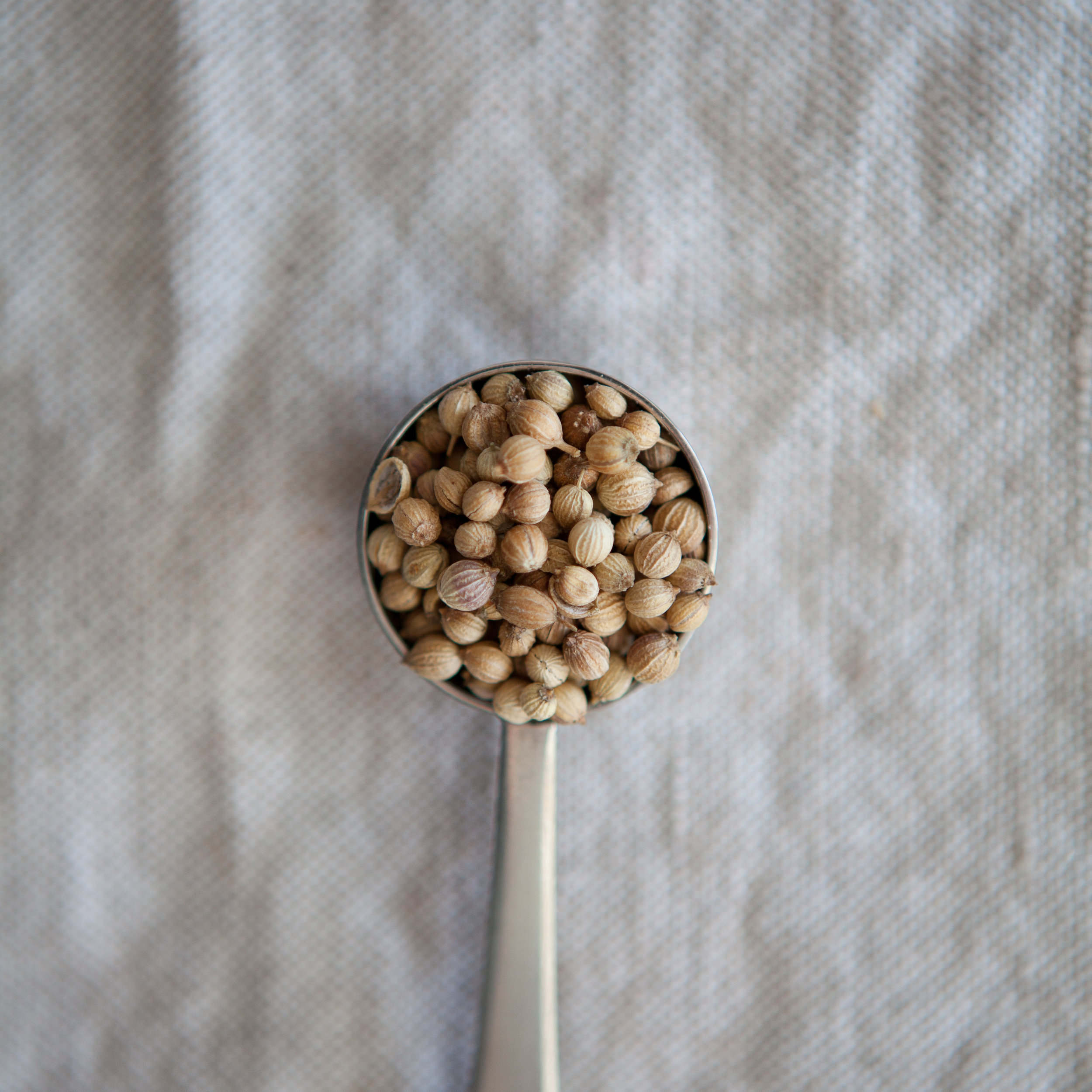 Coriandre (graines, en vrac par 10g)