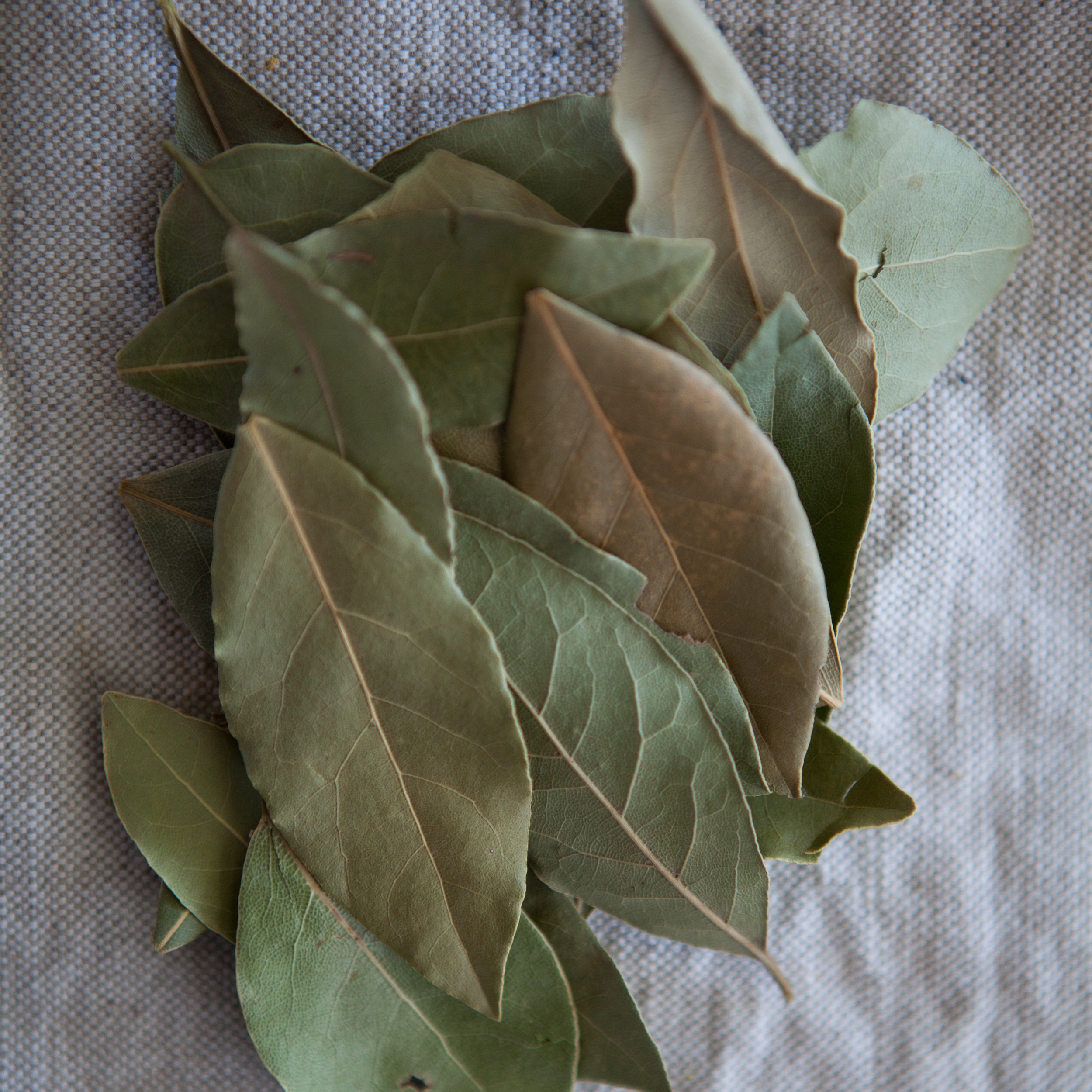 Laurier en feuilles (en vrac par 10g)