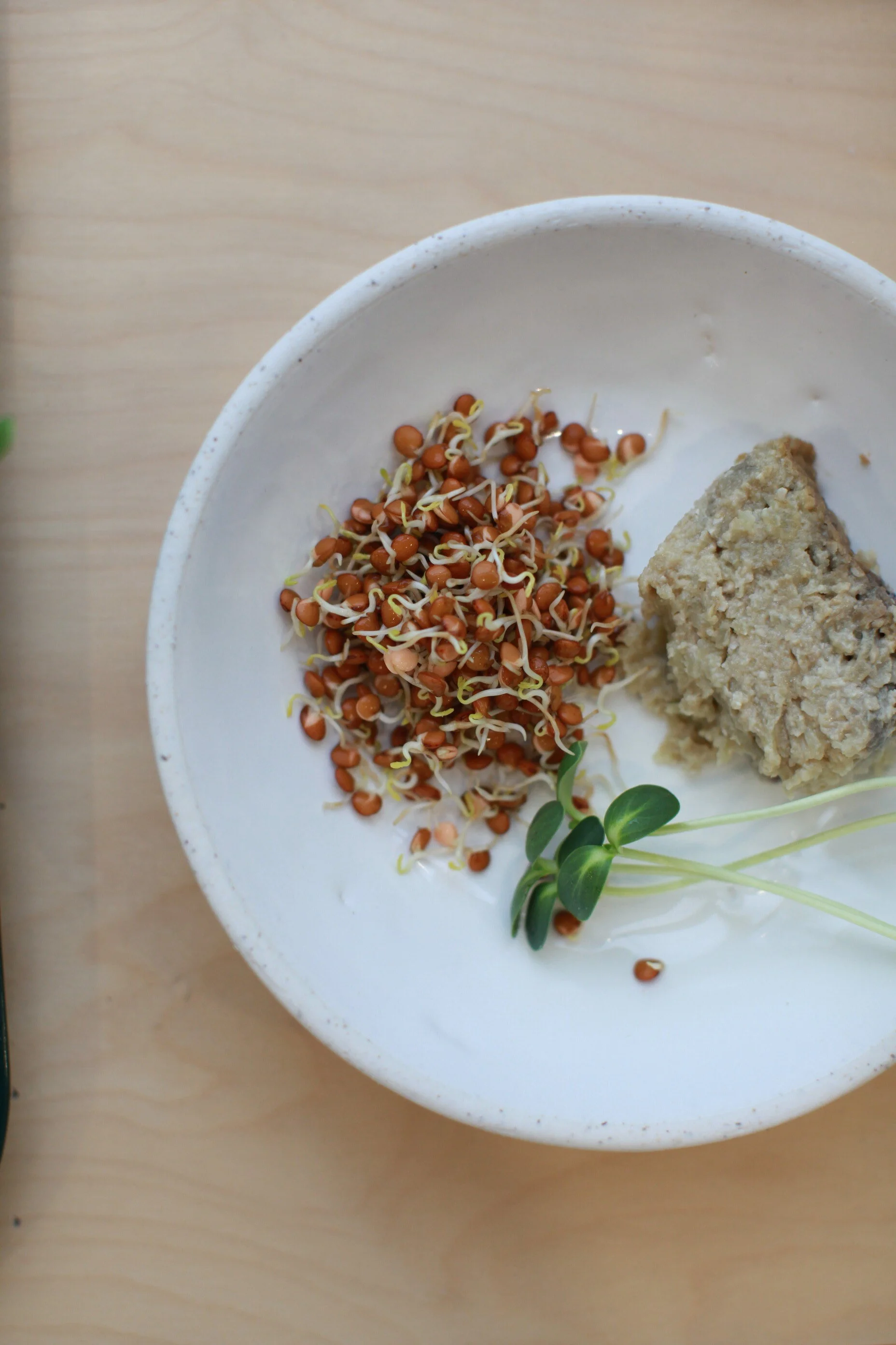 Végé pâté de Marché Simple