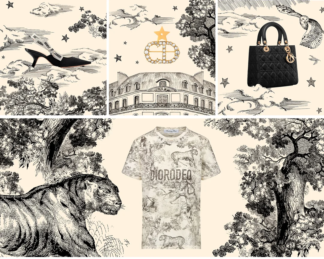 Dior_toiledejouy4.jpg