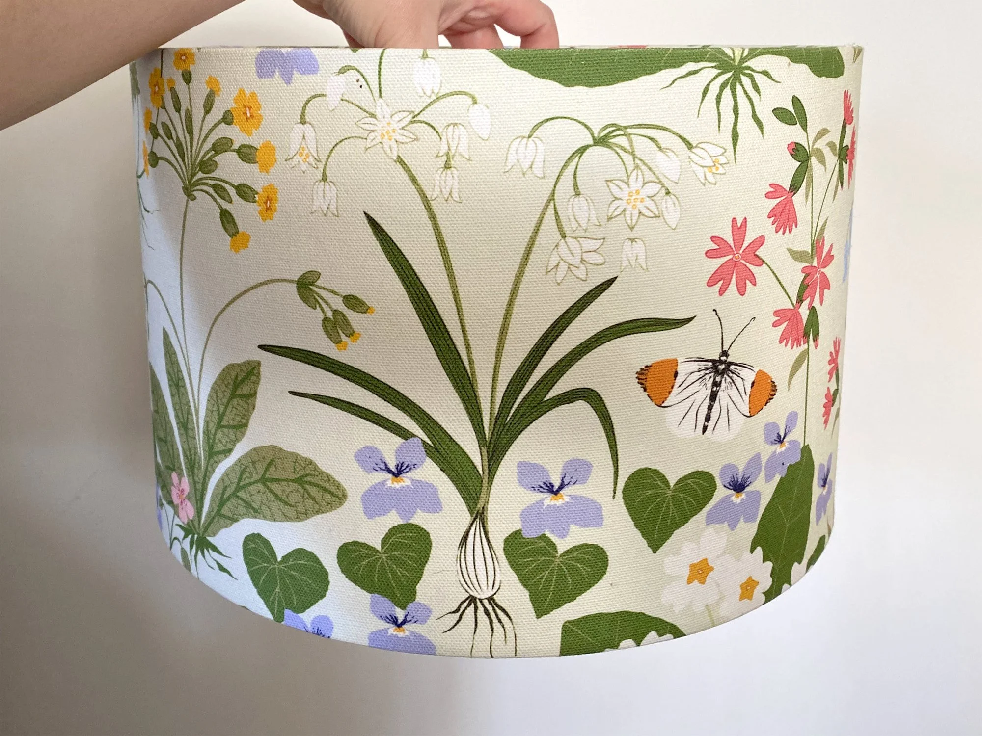 IMG_5277 2000 pix.jpg