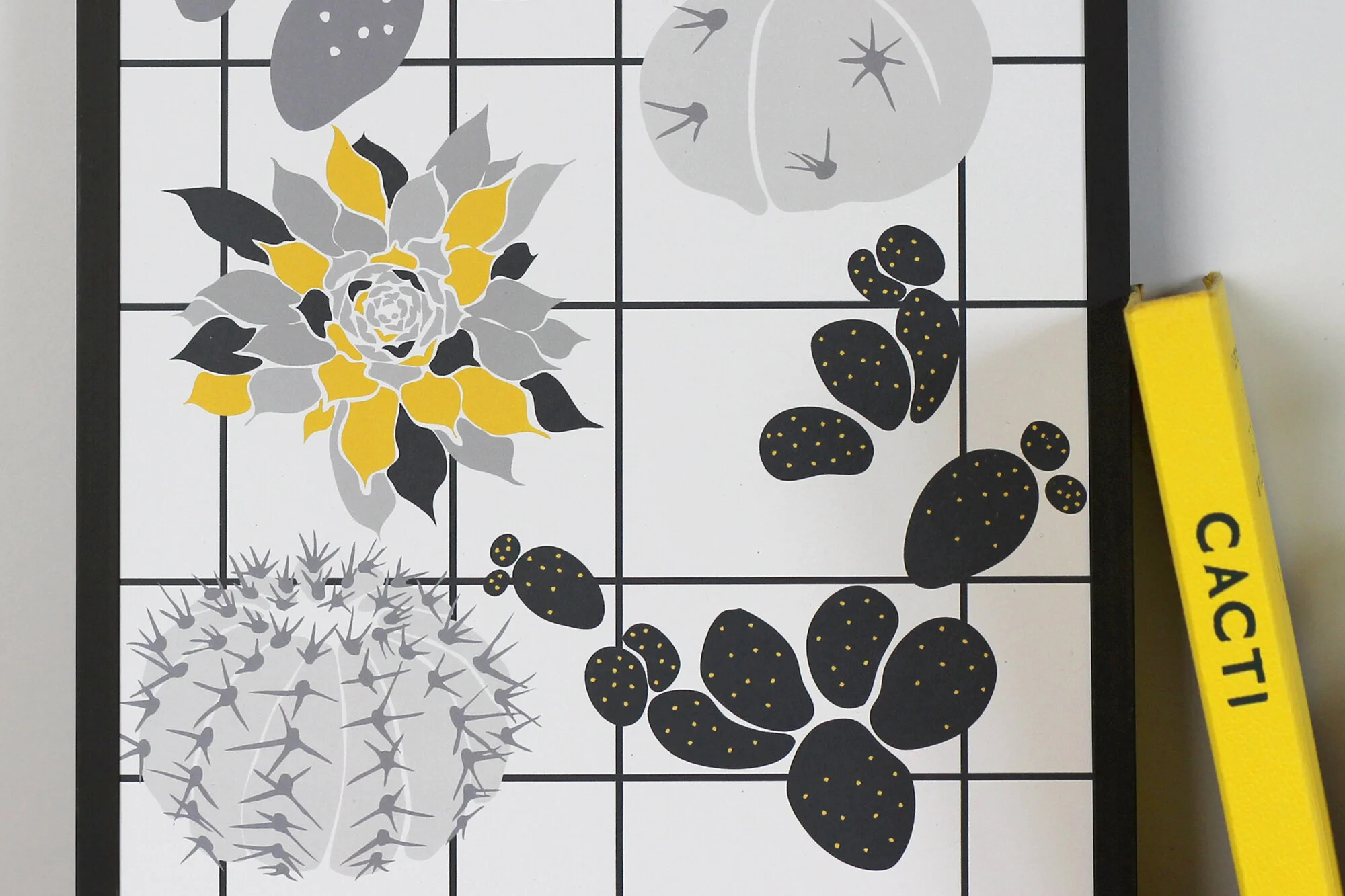 IMG_4062 2000 pix2.jpg