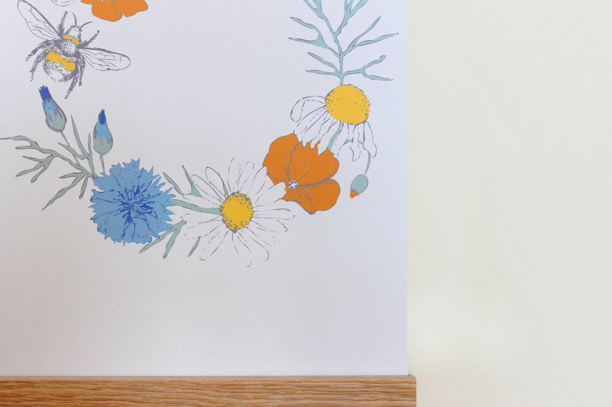 IMG_5491 2000 pix.jpg