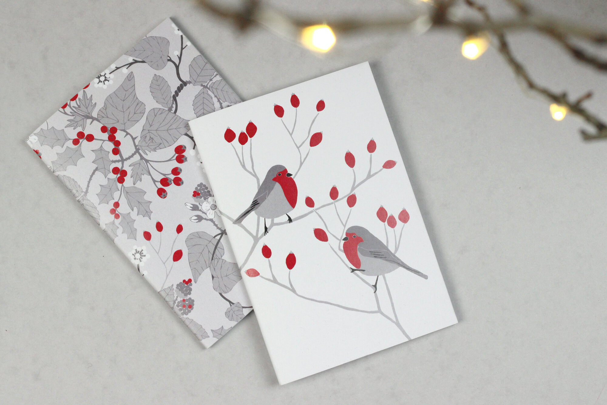 IMG_6676 2000 pix.jpg