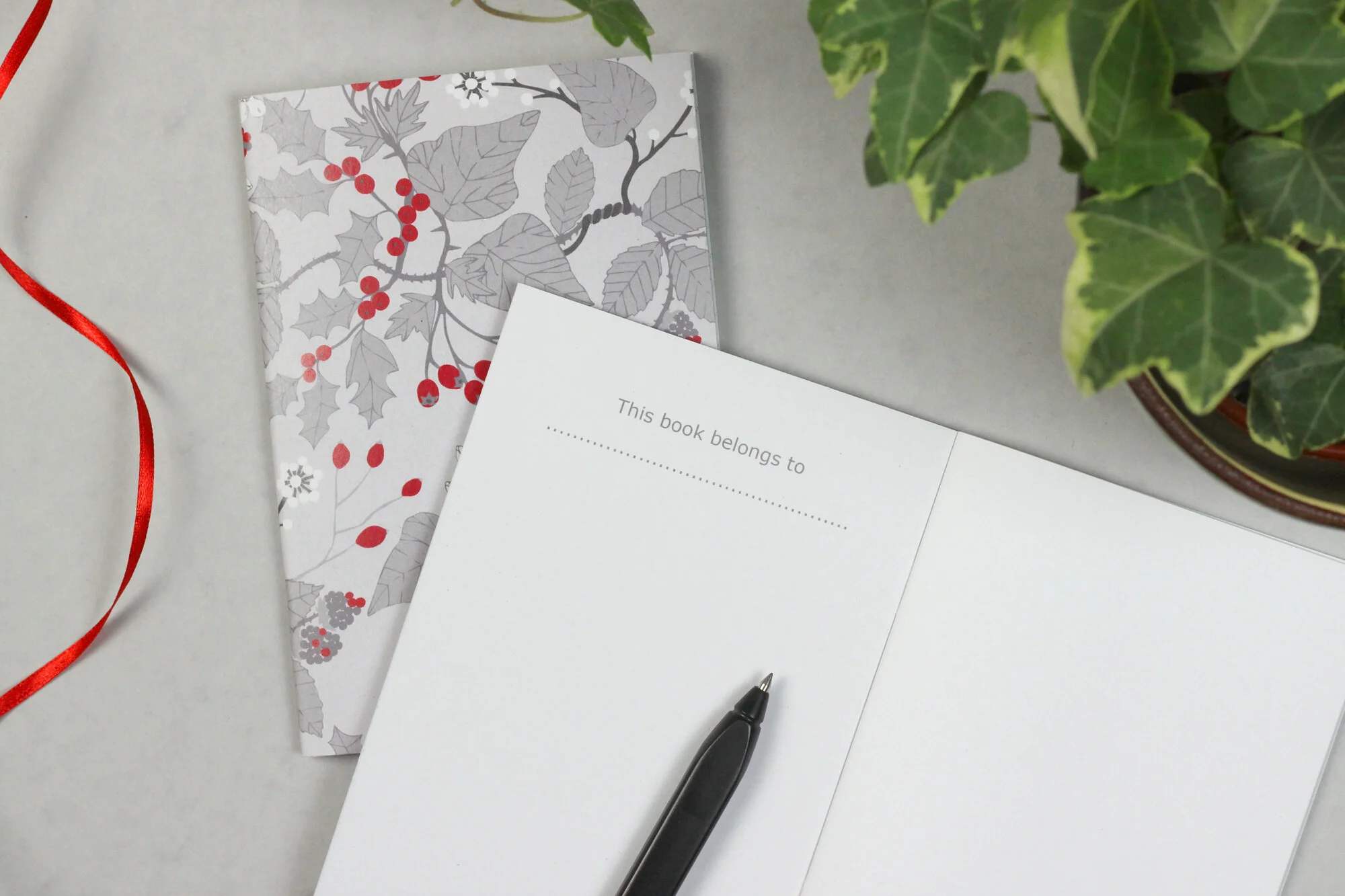 IMG_6694 2000 pix.jpg