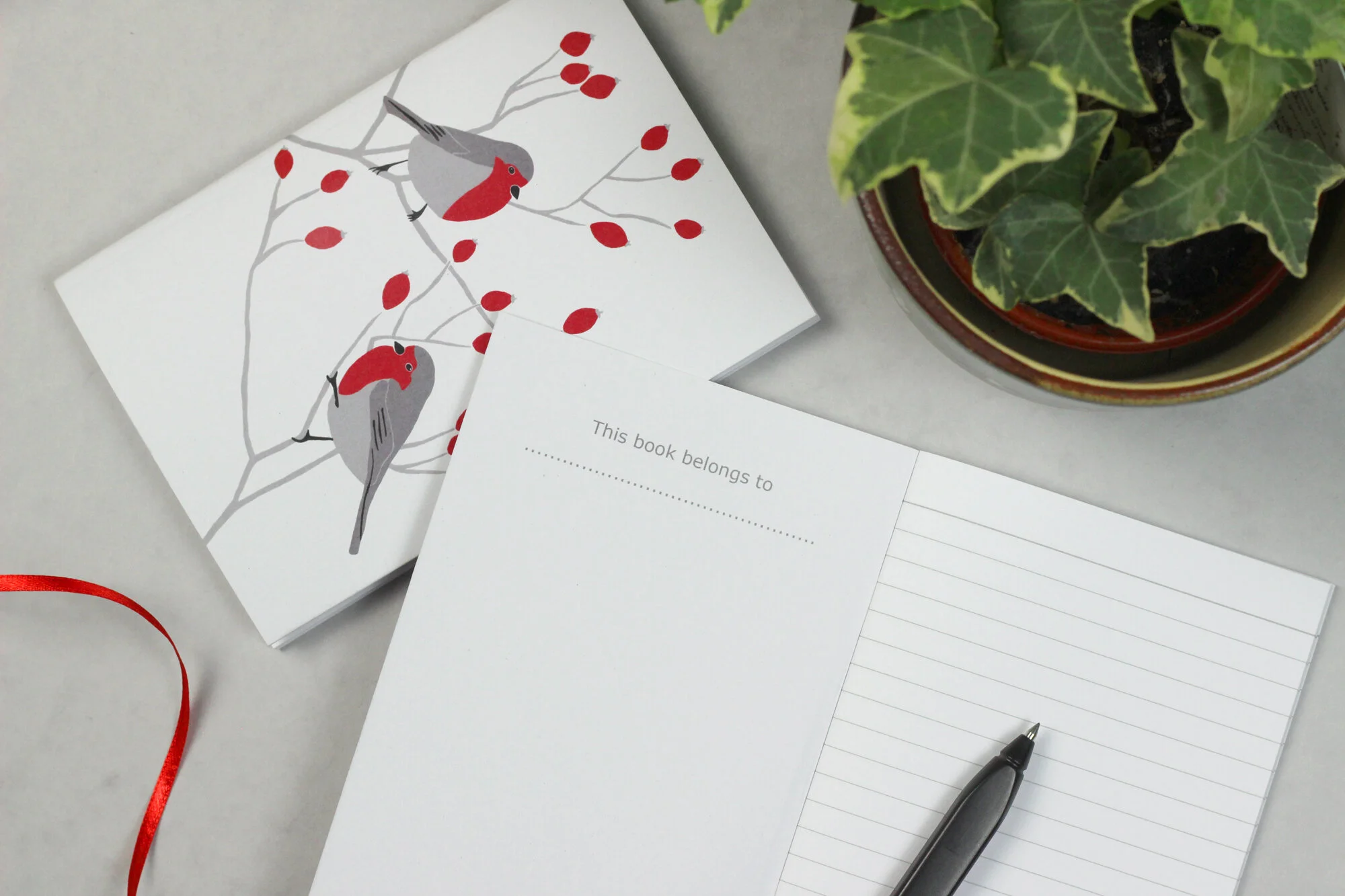 IMG_6699 2000 pix.jpg