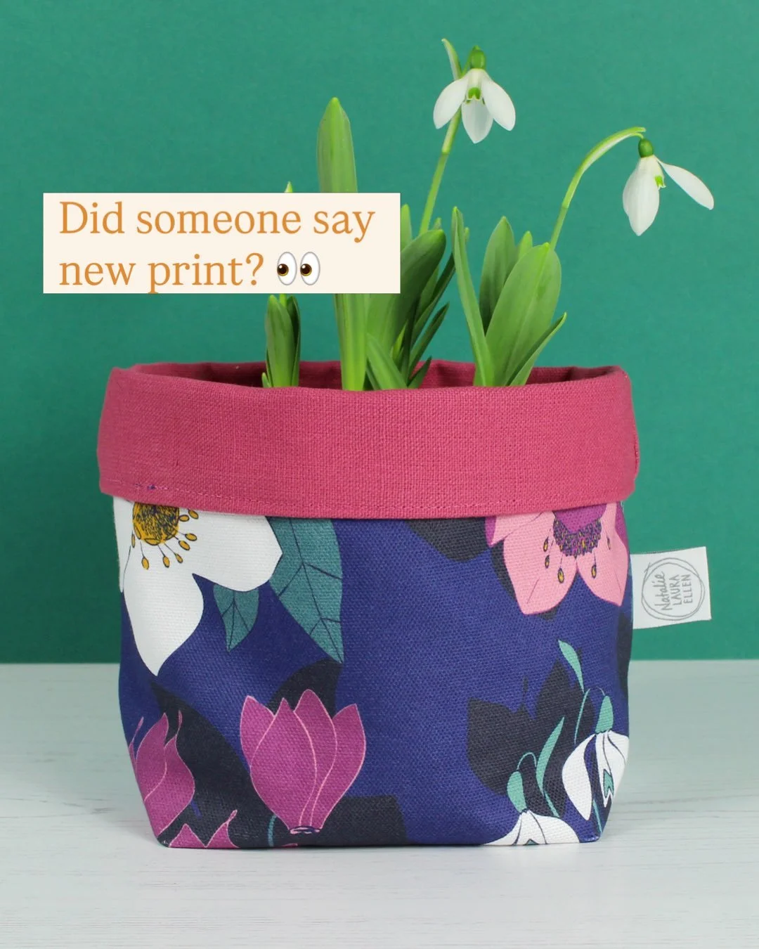 Excited to share my new print with you 

✨Hellebore and Snowdrop✨

Inspired by the beautiful displays @dorothyclive garden 🩷

These plants are amongst the first to flower in the New Year, pushing their heads up to bring a splash of colour to even th