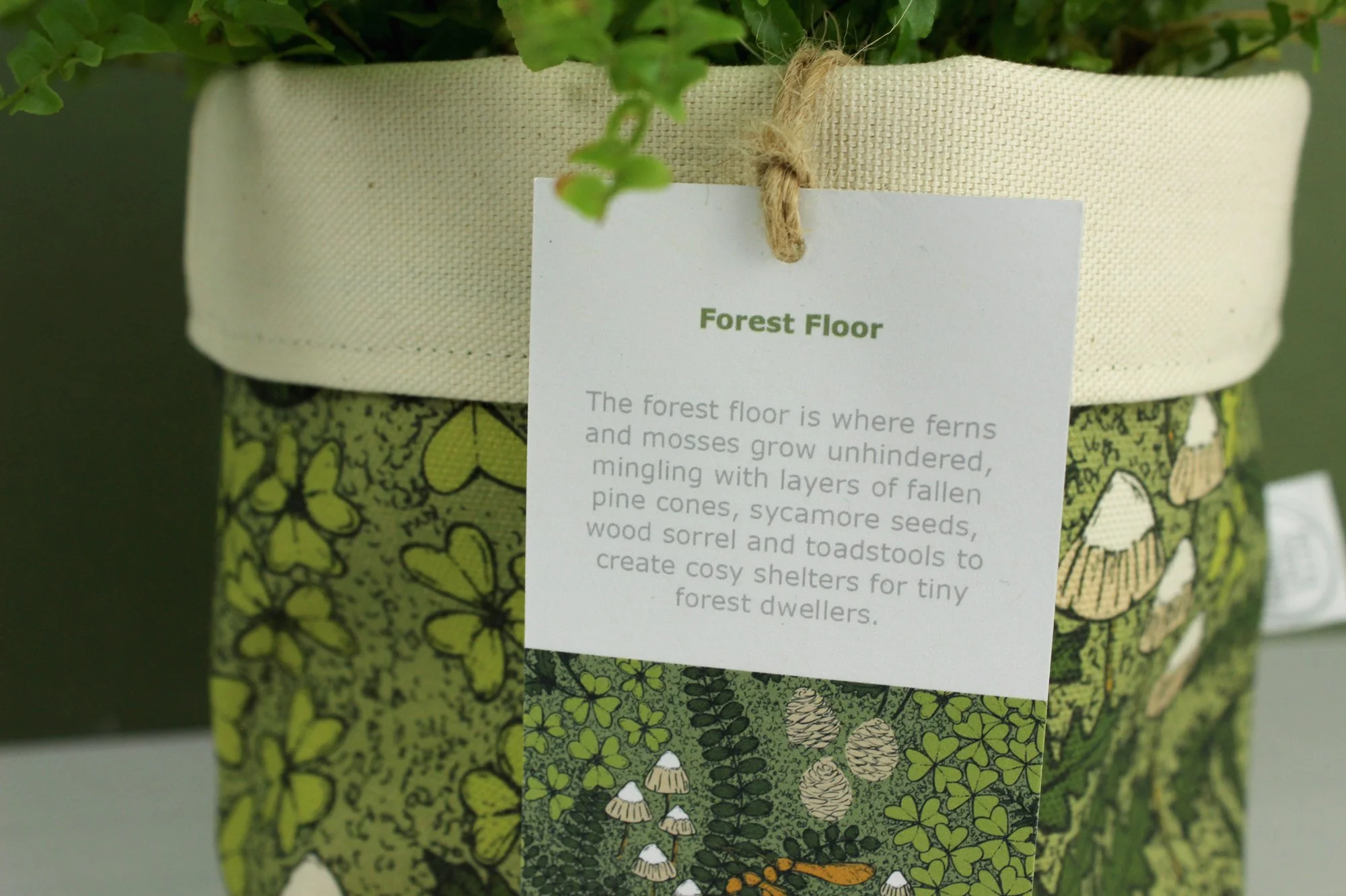 IMG_7792 2000 pix.jpg