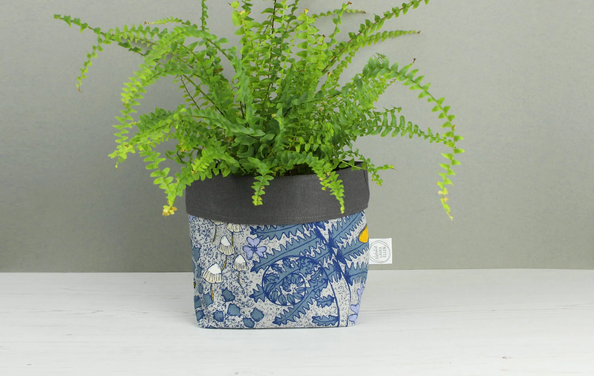 IMG_7793 2000 pix.jpg