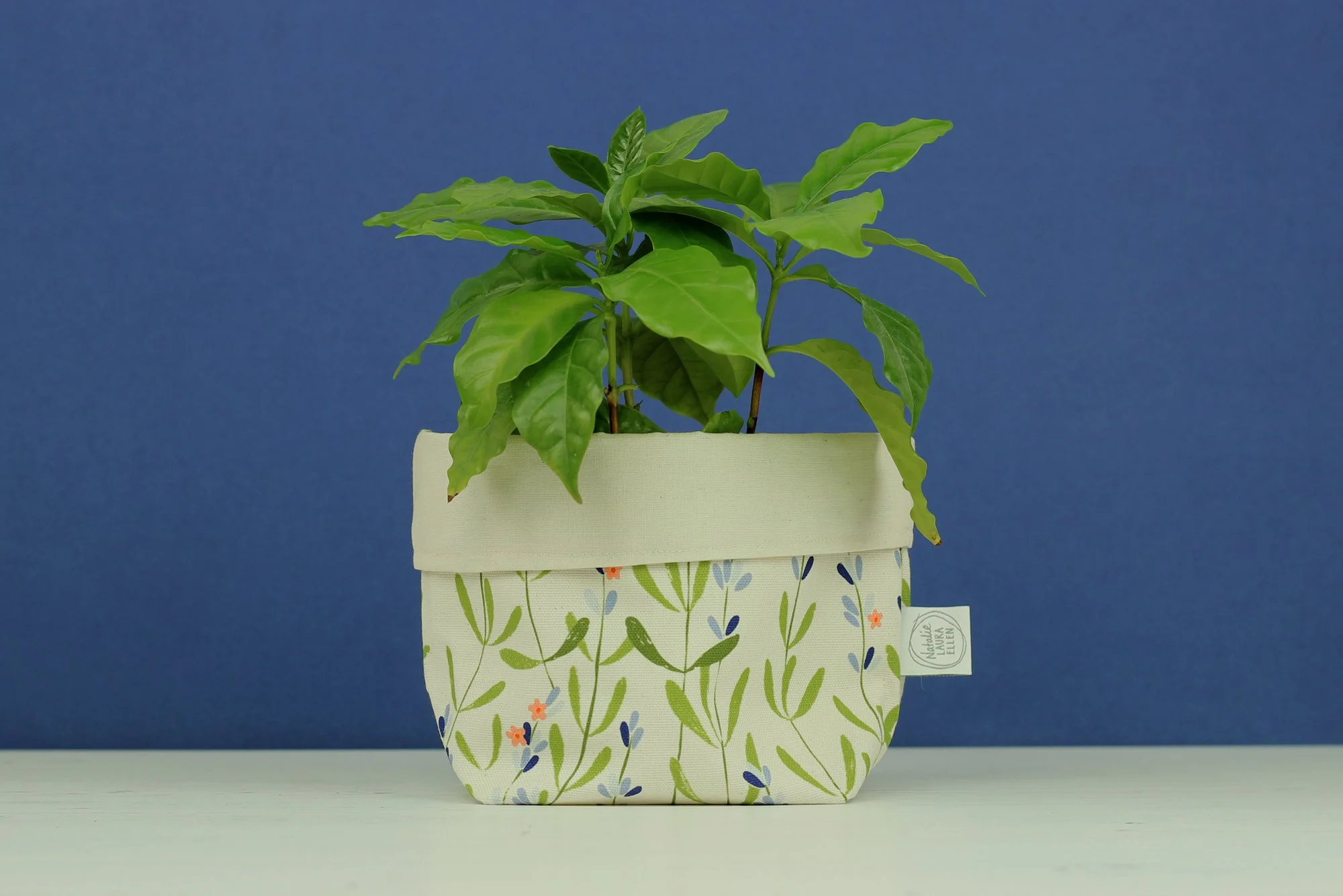 IMG_7547 2000 PIX.jpg