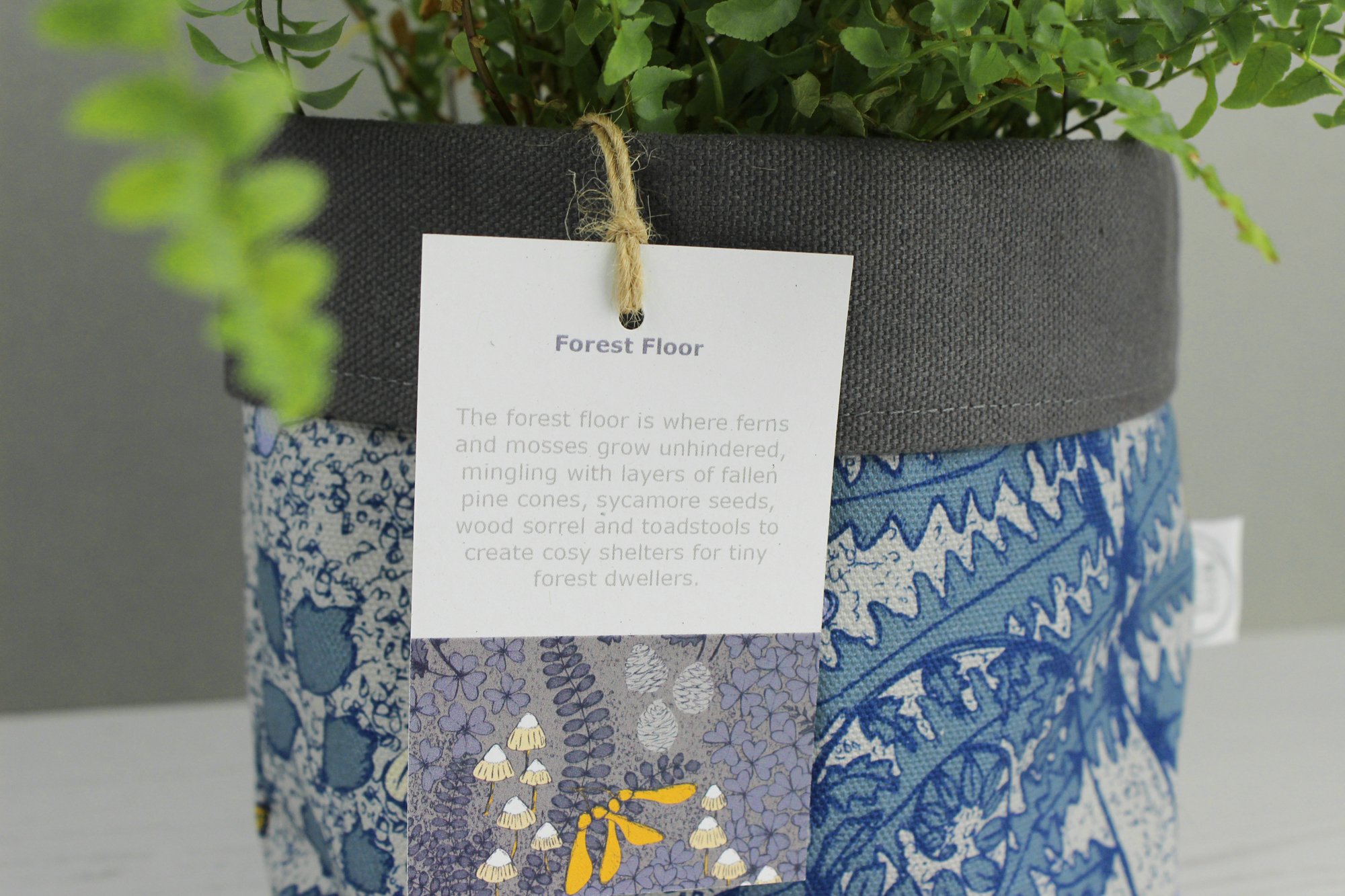 IMG_7799 2000 pix.jpg