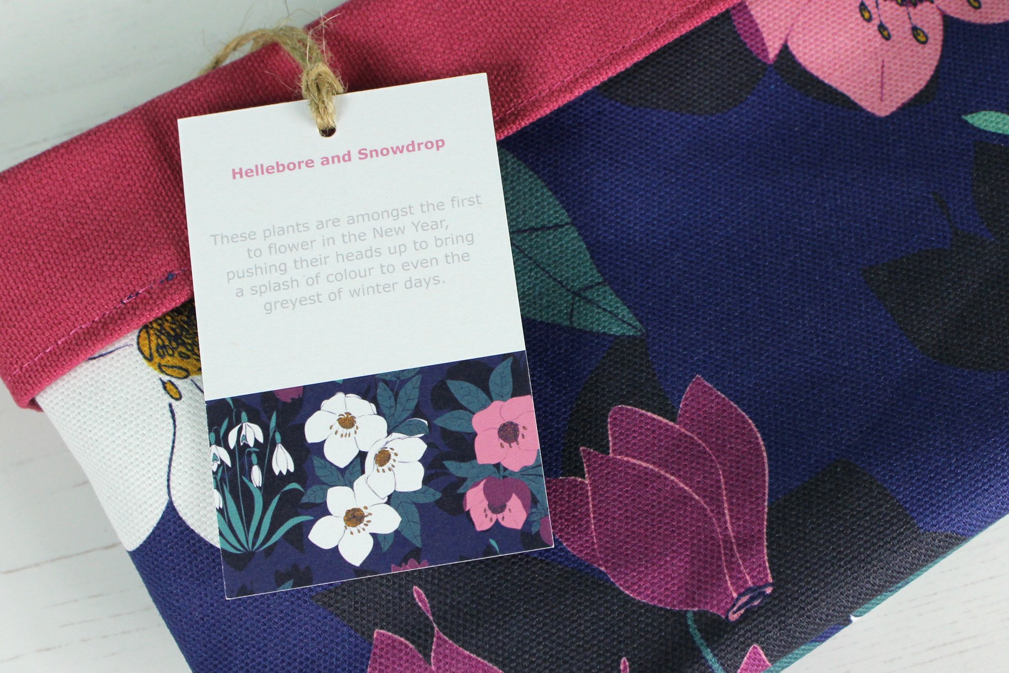 IMG_7781 2000 pix.jpg