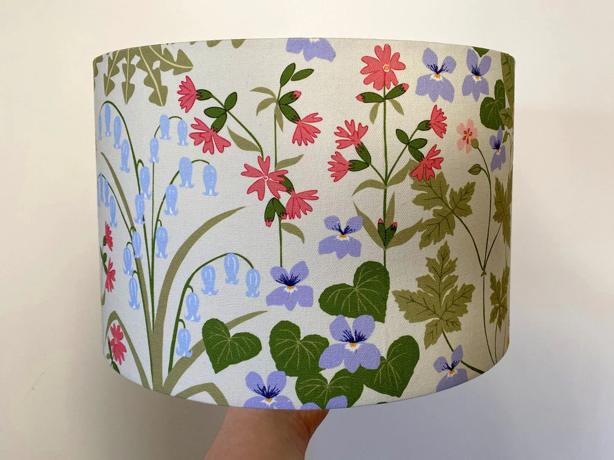 IMG_5274 2000 pix.jpg