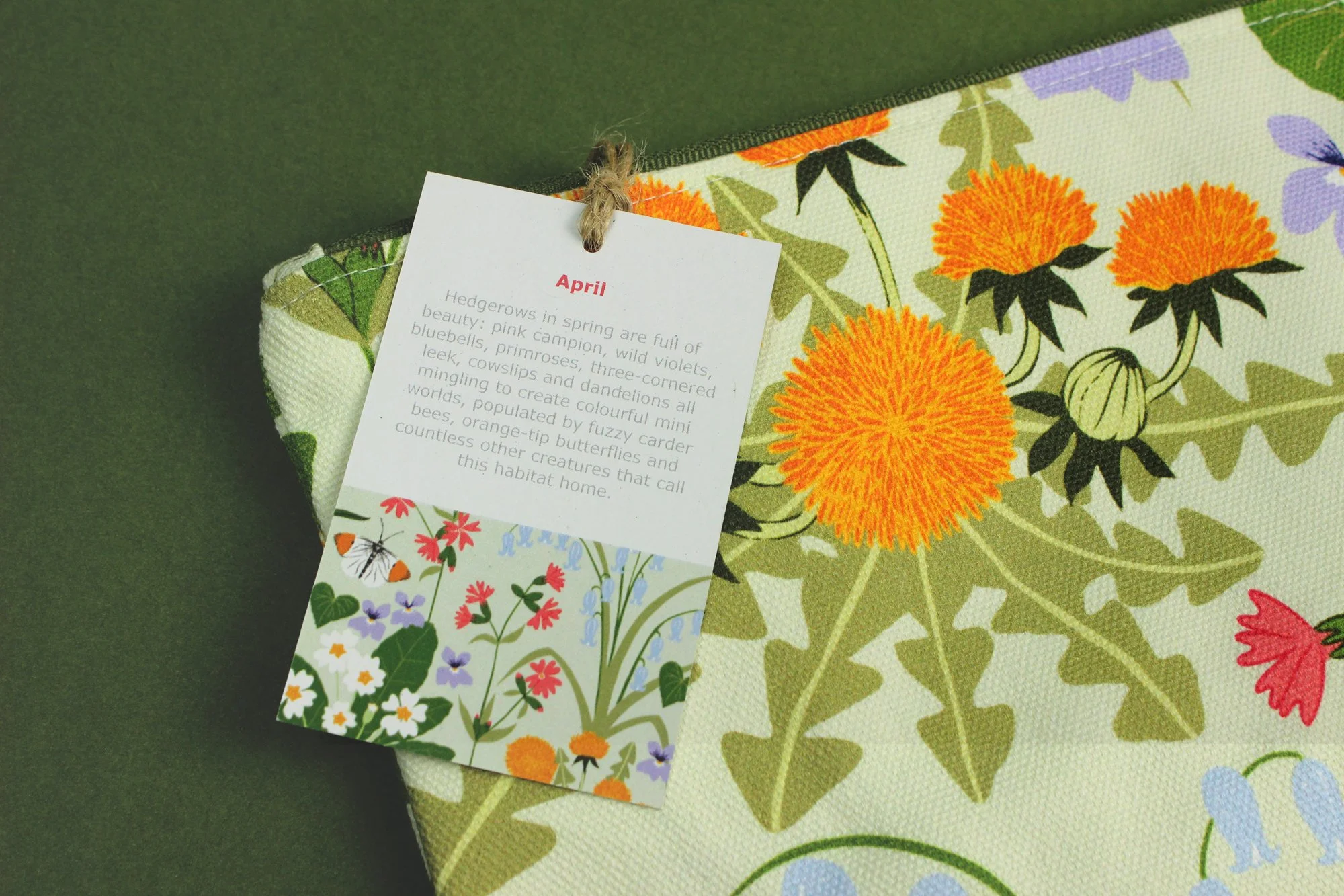 IMG_7882 2000 pix.jpg