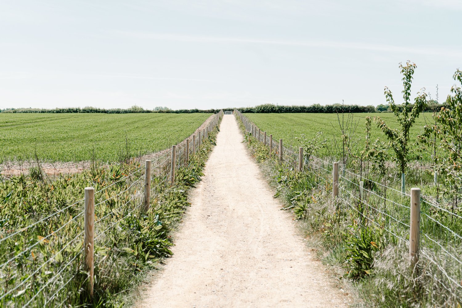 Nature Glance-What's a Fen? 