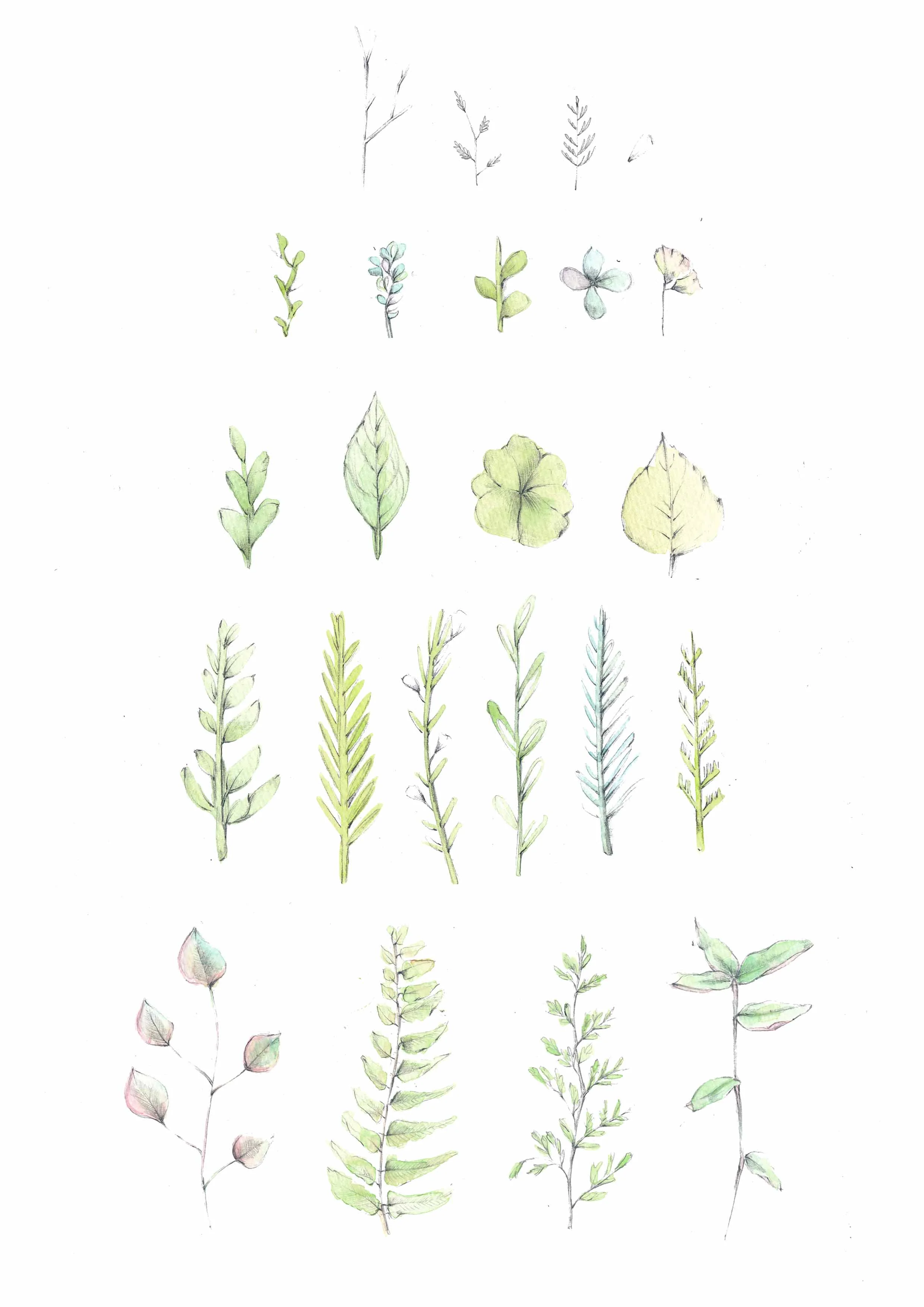 Late_Spring.jpg