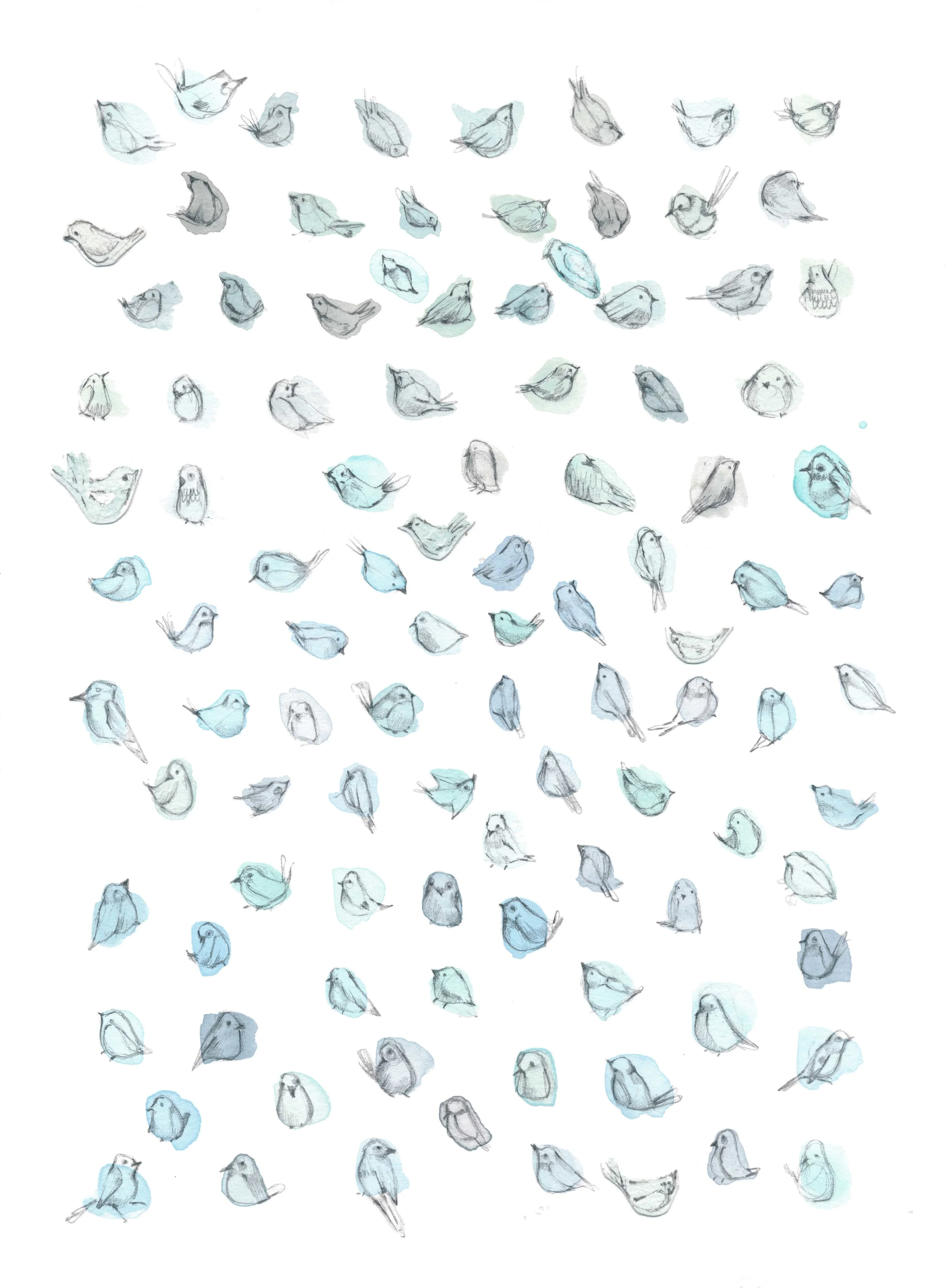 101 Blue Birds