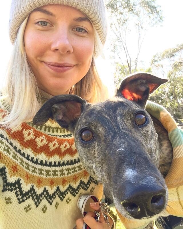 Goldie&rsquo;s first hike 💛