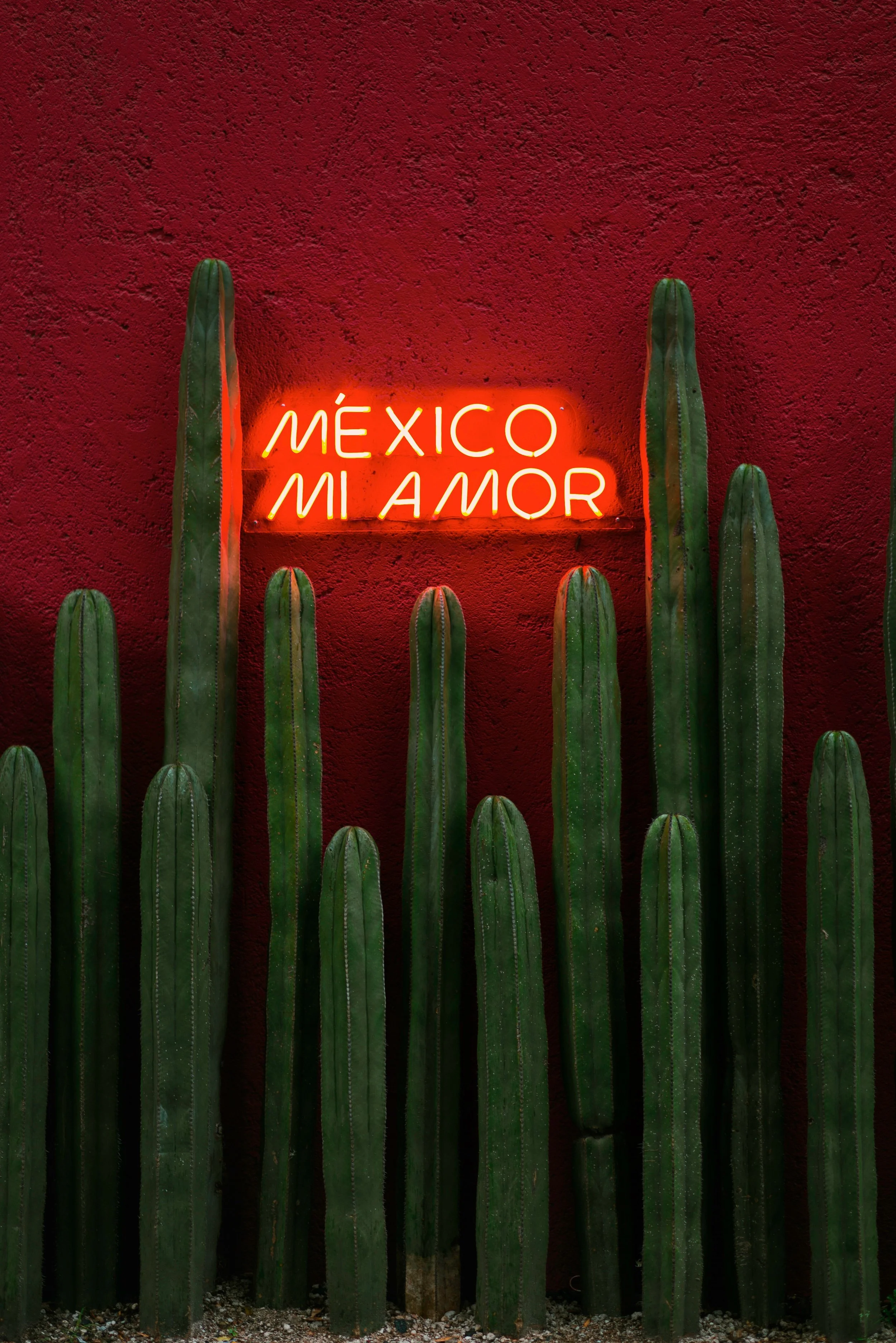 raul-angel-igp-qhoFOe8-unsplash.jpg