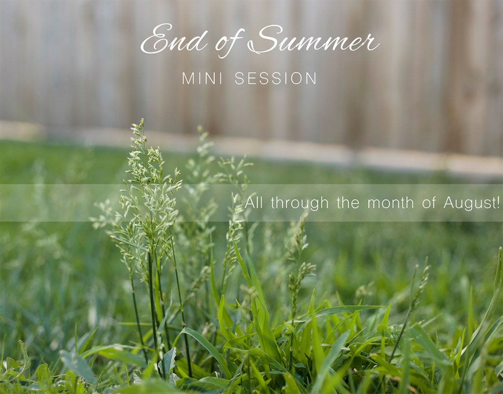 End of Summer Mini Sessions
