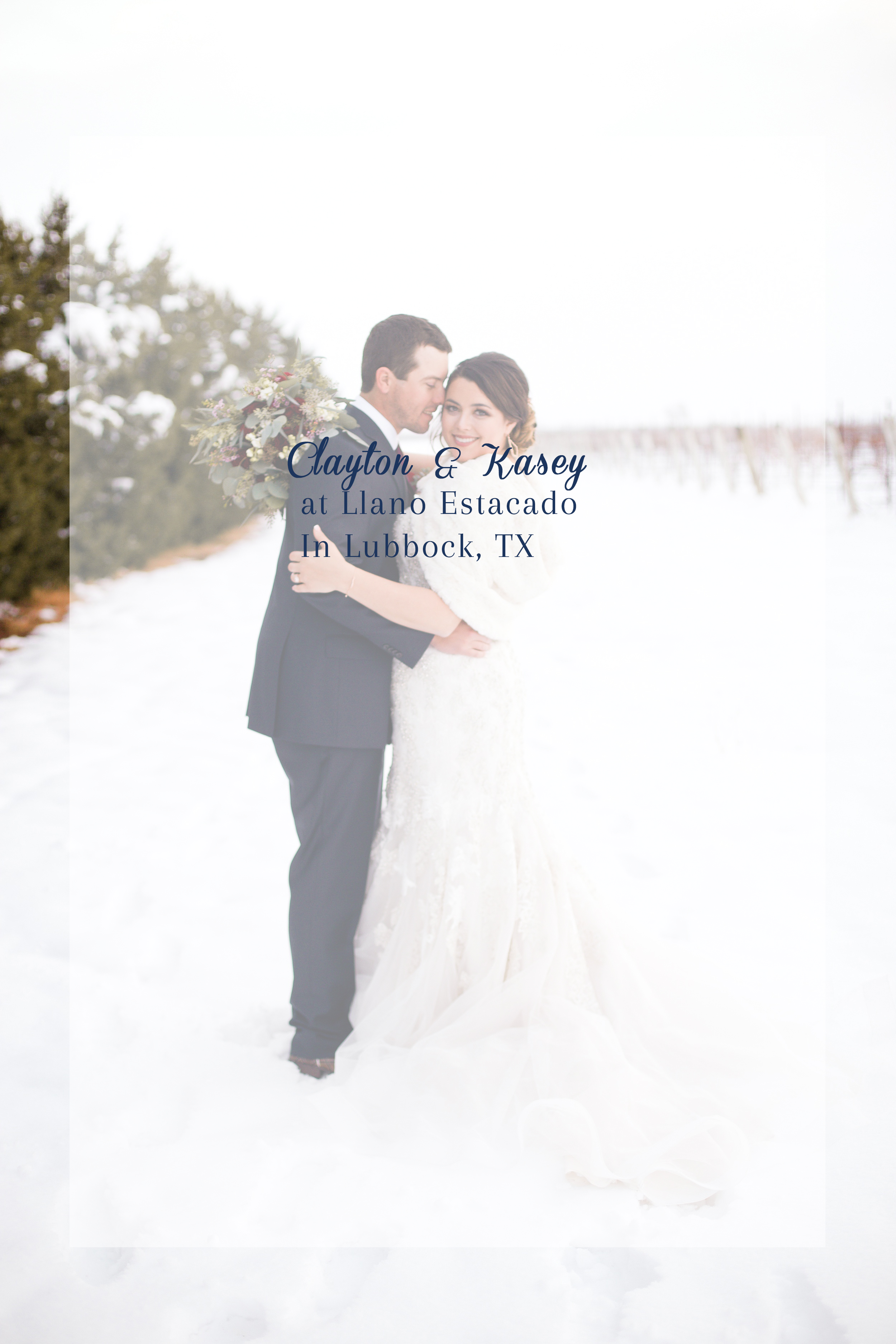 texas-wedding-photographer-lubbock-wedding-photographer-colorado-new-mexico-photographer-llano-estacado-wineray.jpg