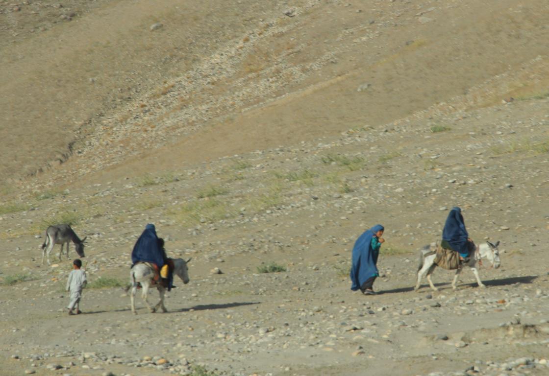 257.JPG