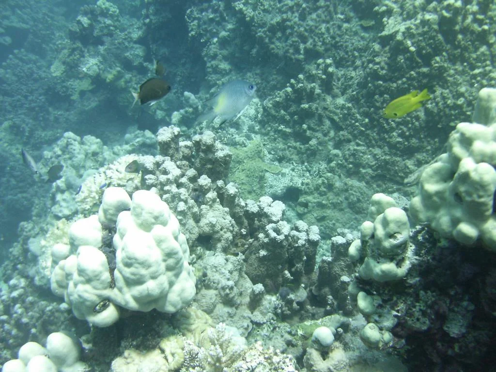 3590.JPG