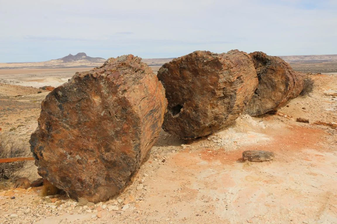 2150.JPG