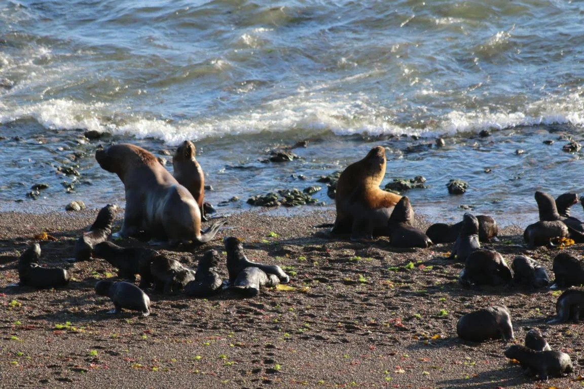 5430.JPG
