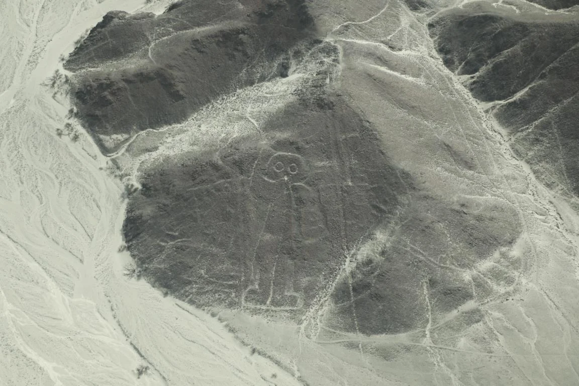 6090.JPG