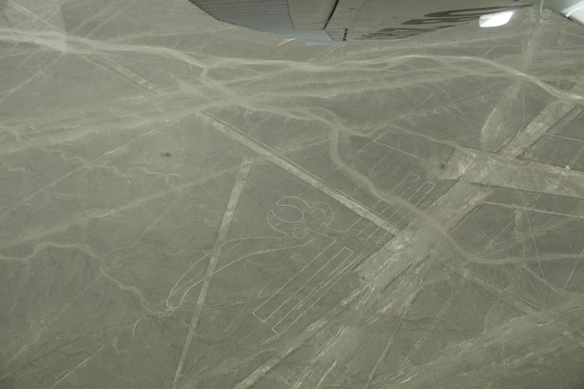 6240.JPG