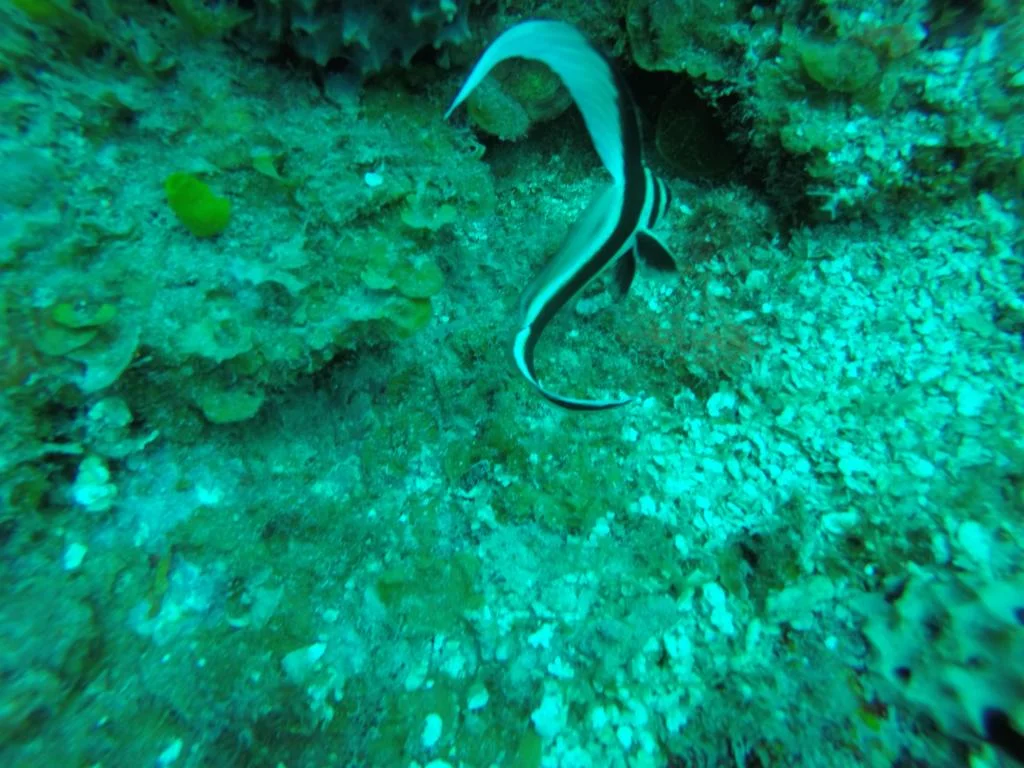 6190.JPG