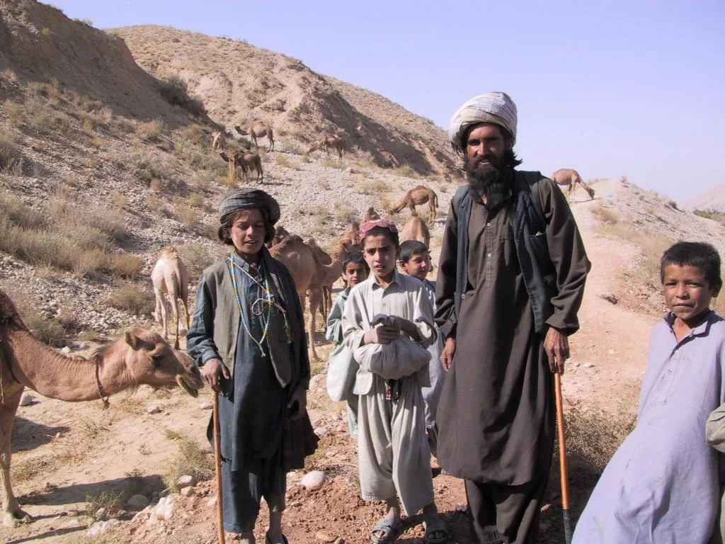 17620.JPG