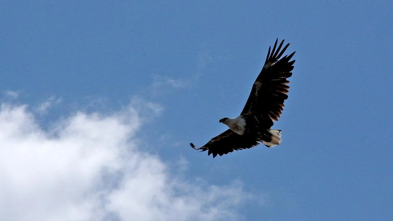 3730n.JPG