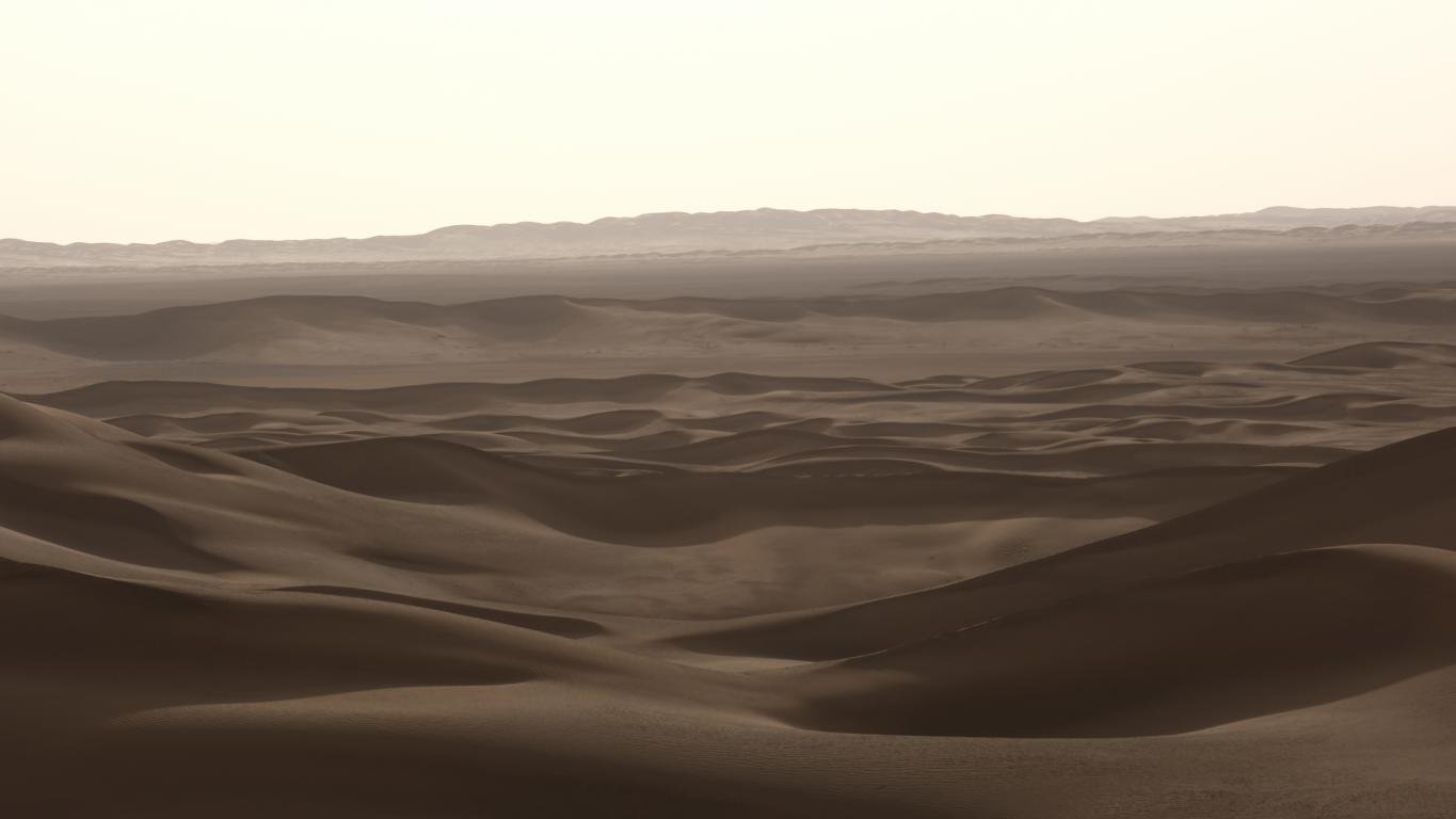 2850.JPG