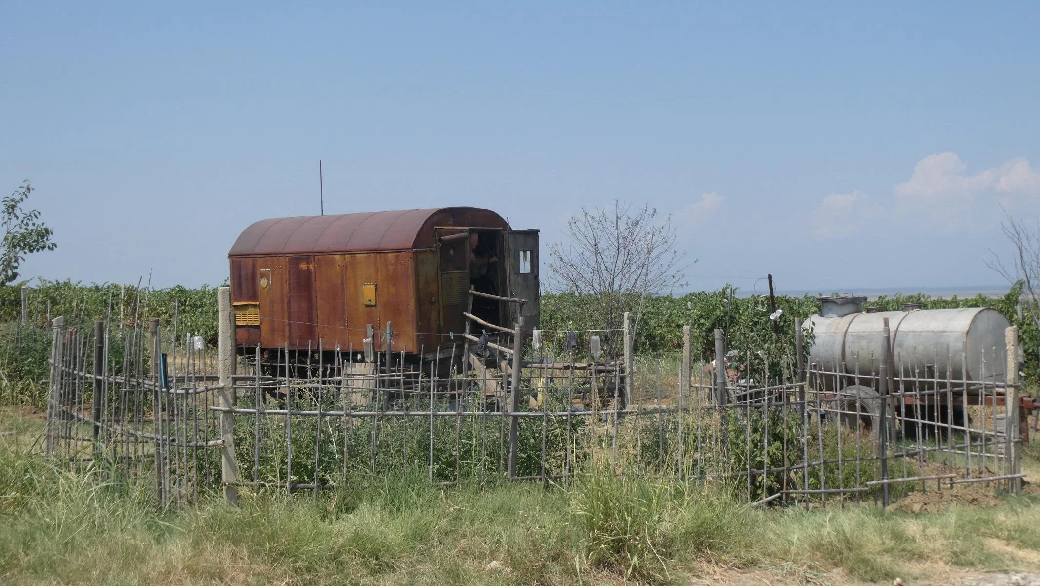 4830.JPG