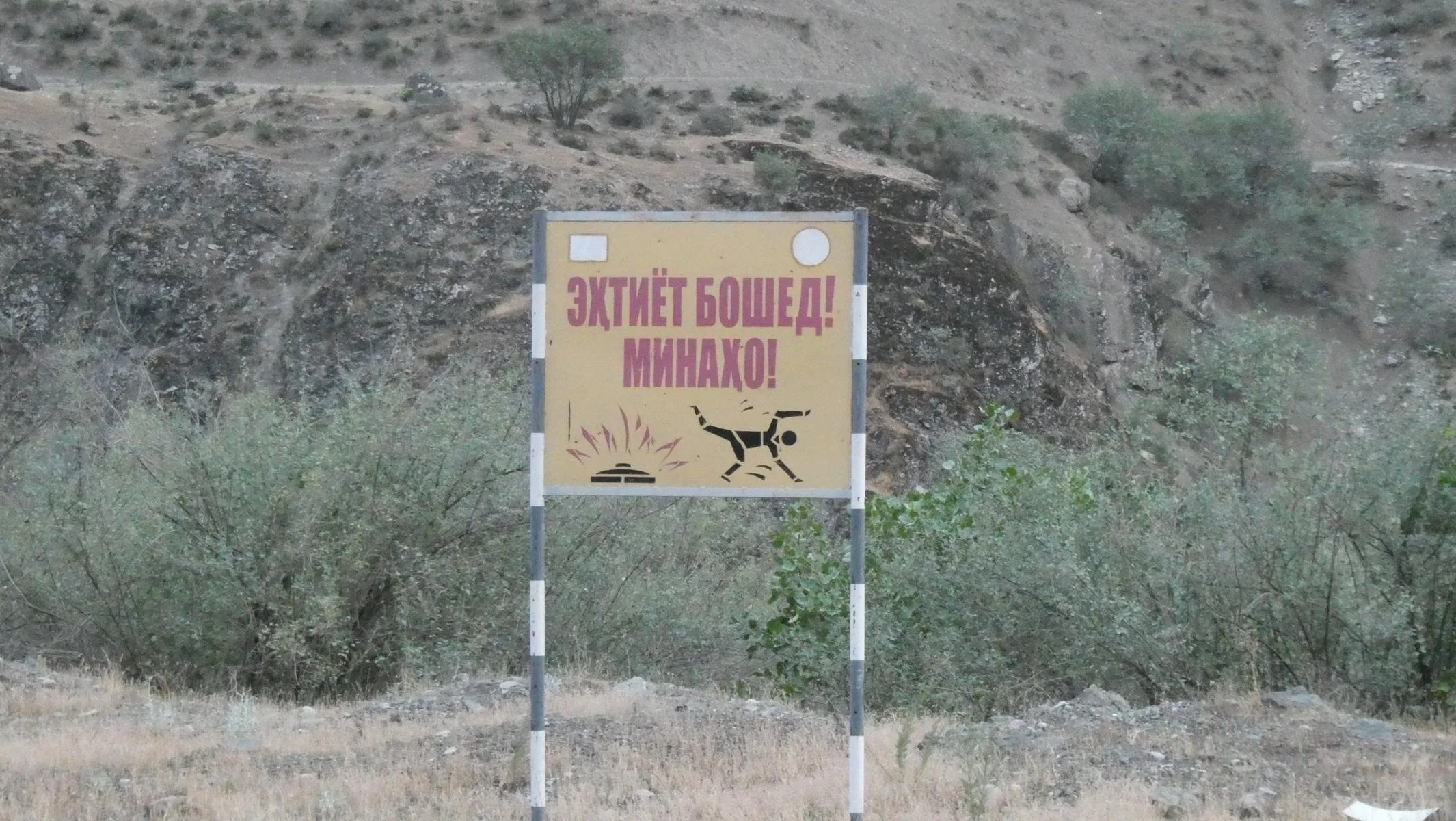 939.JPG