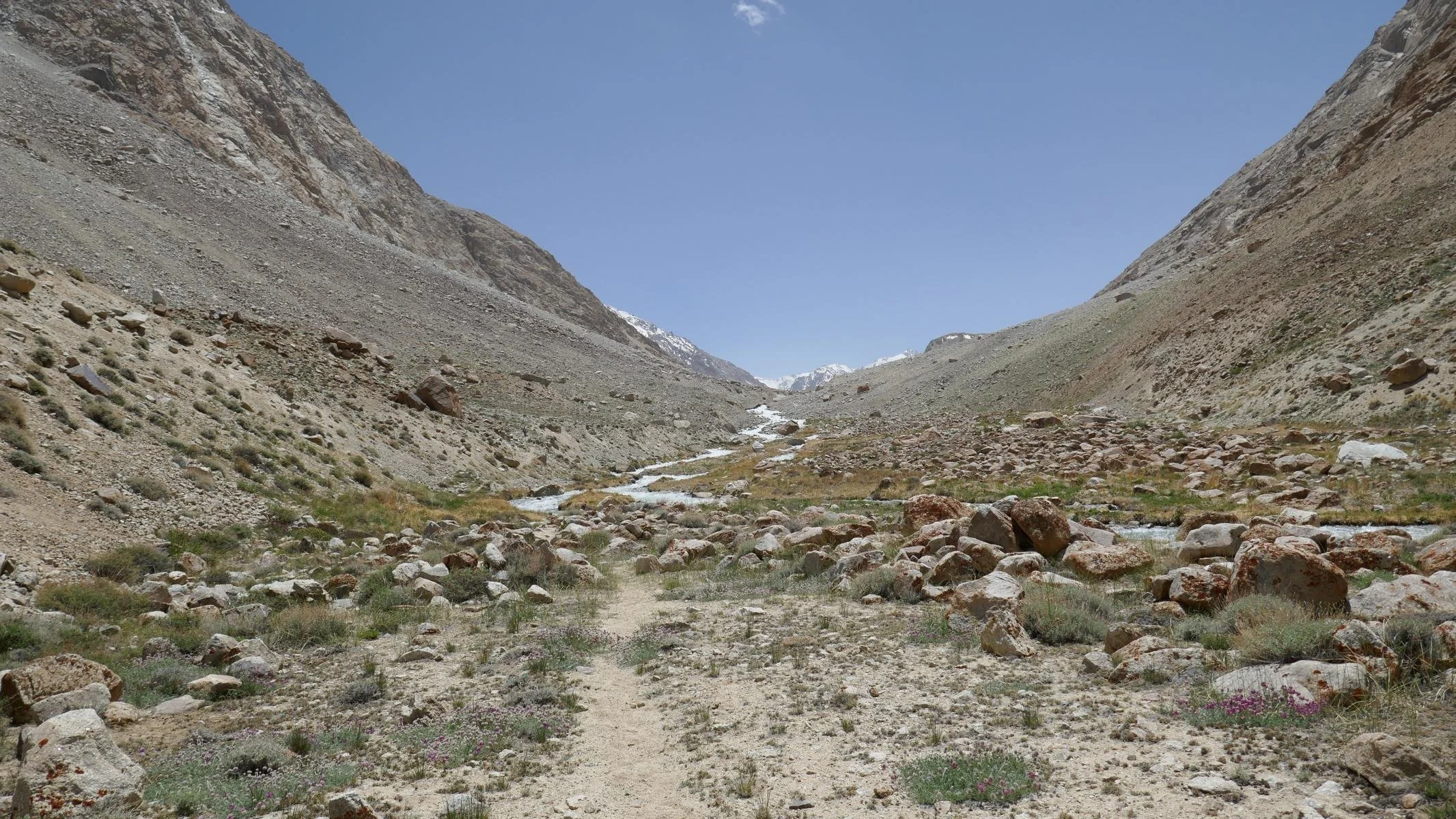 5590.JPG