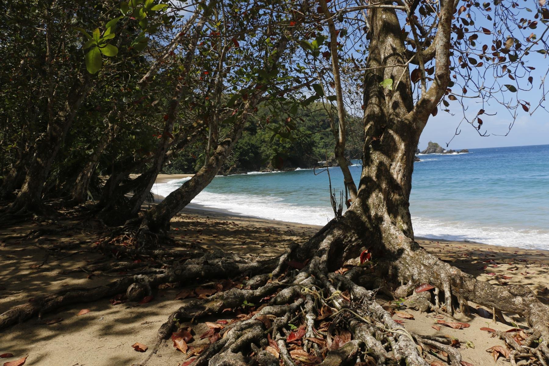 Englishman’s Bay Trinidad-Tobago .JPG