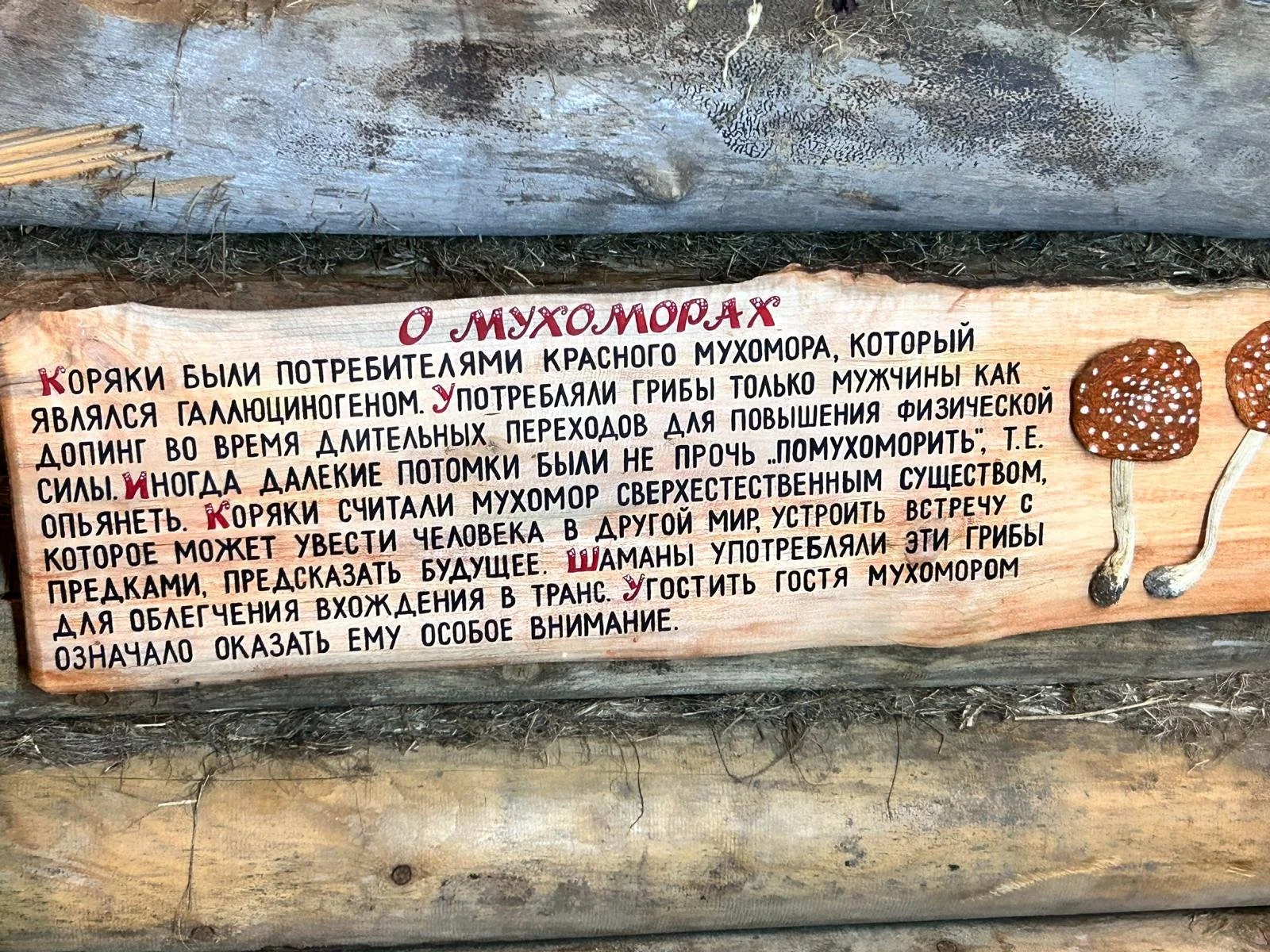 4650.JPG