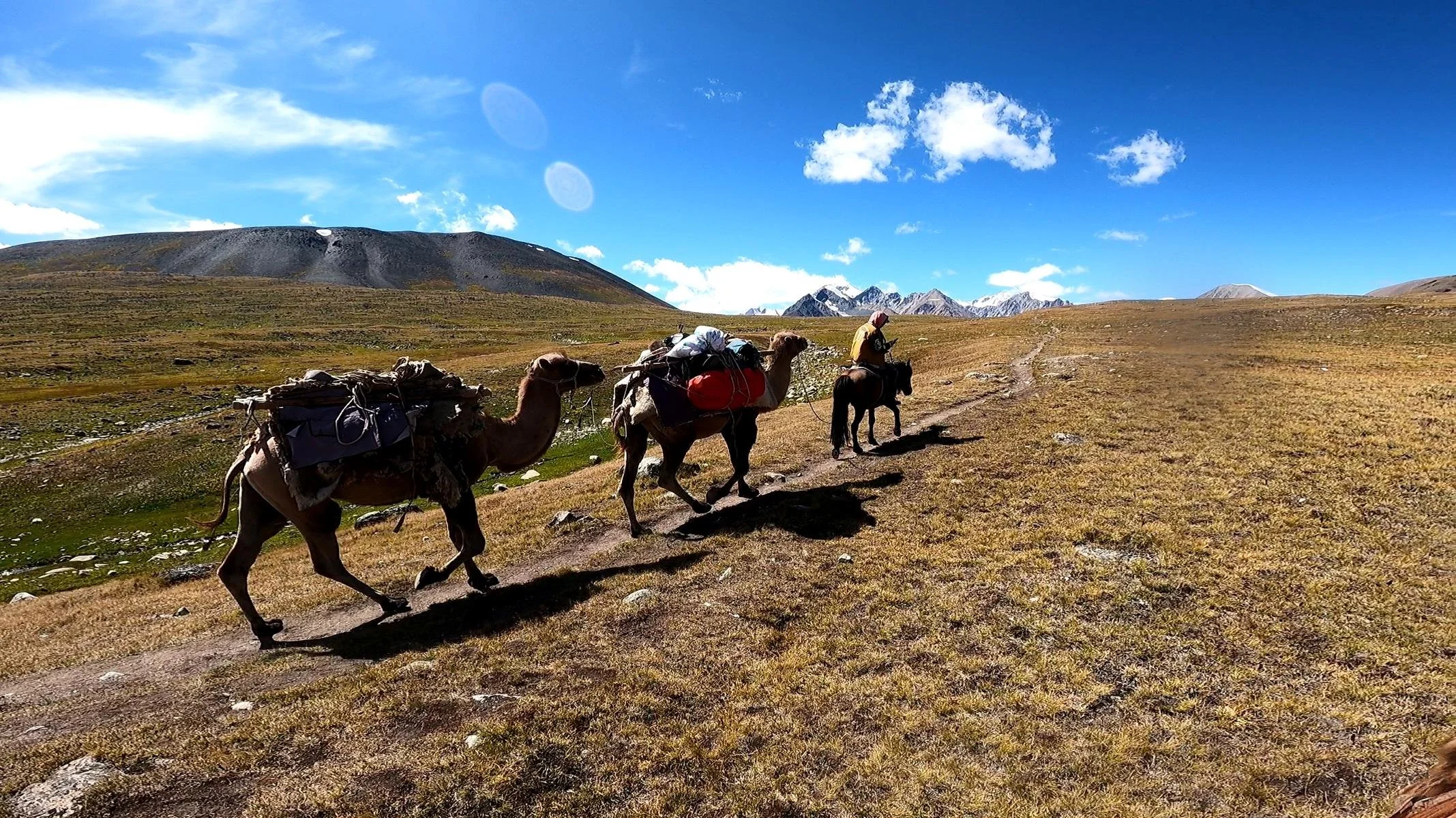 1095.JPG