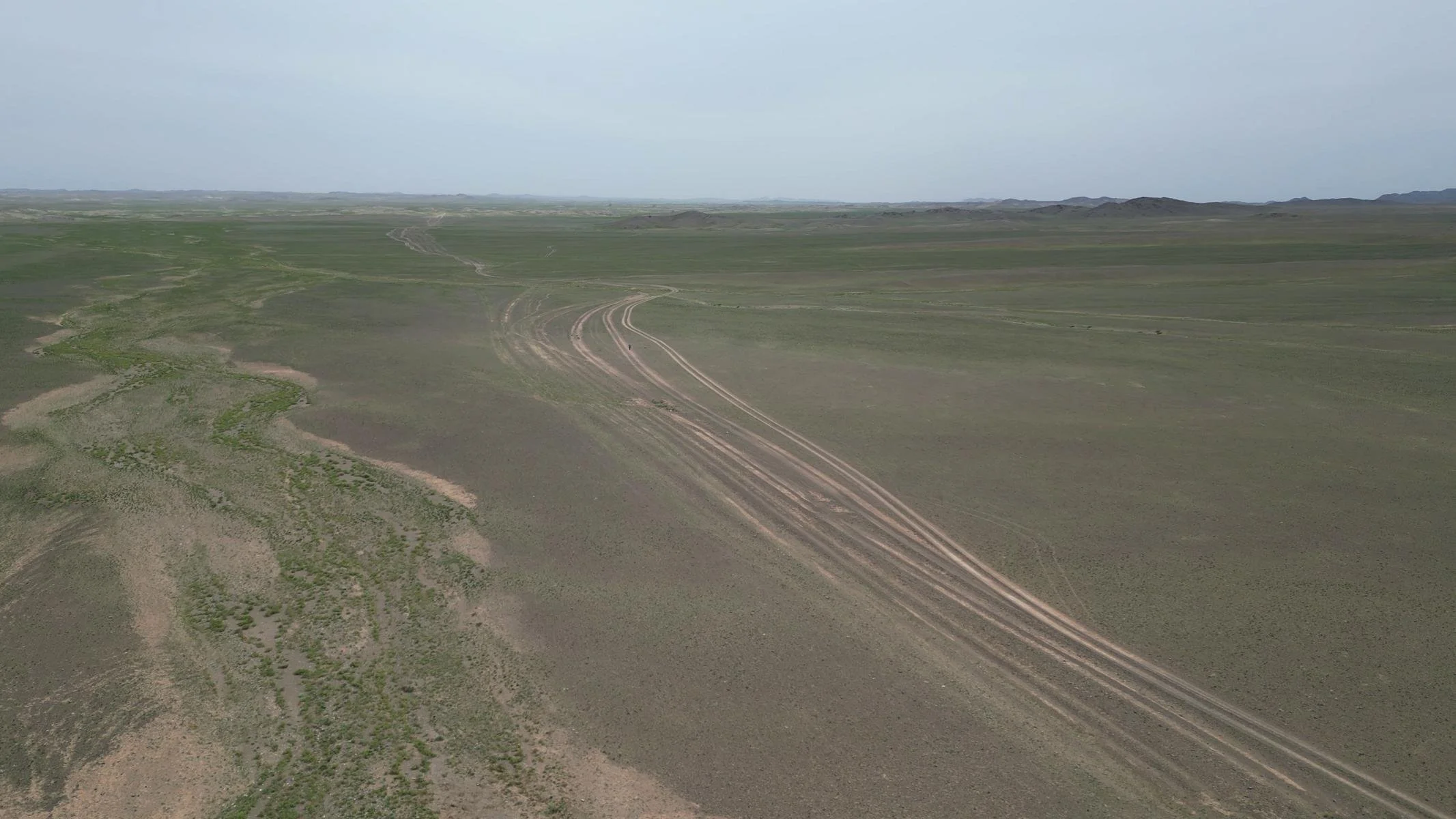 175.JPG
