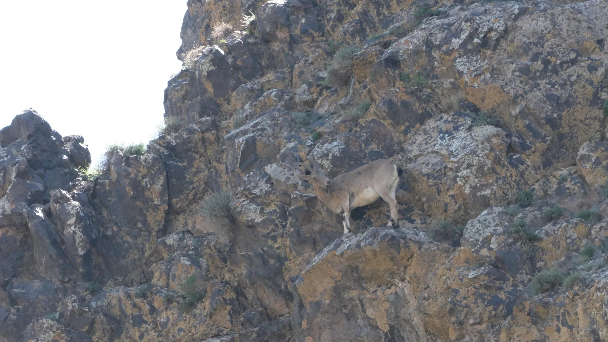 4183.JPG