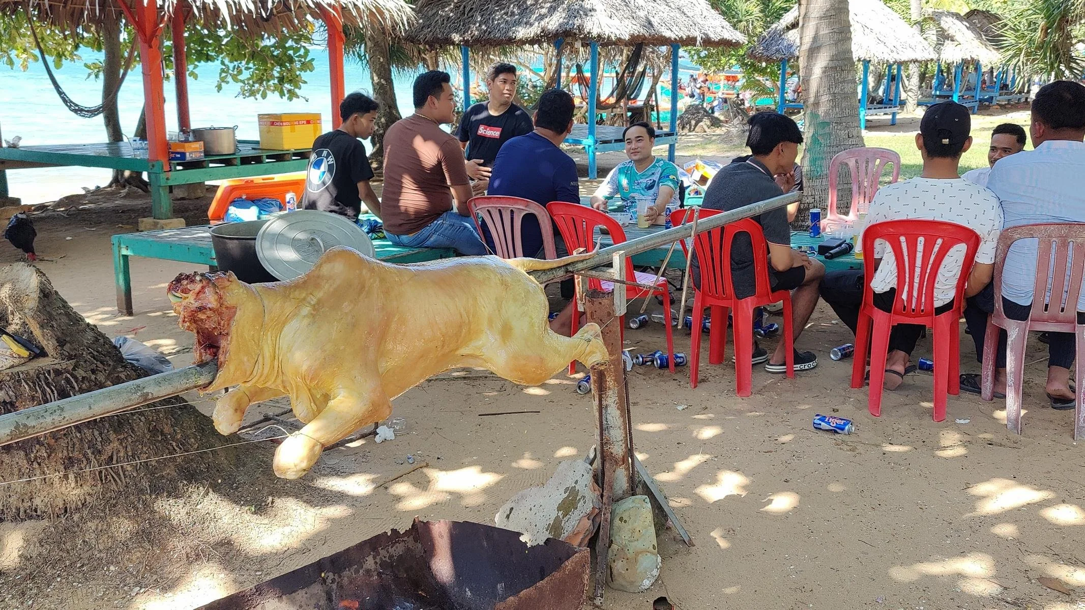 6365.JPG