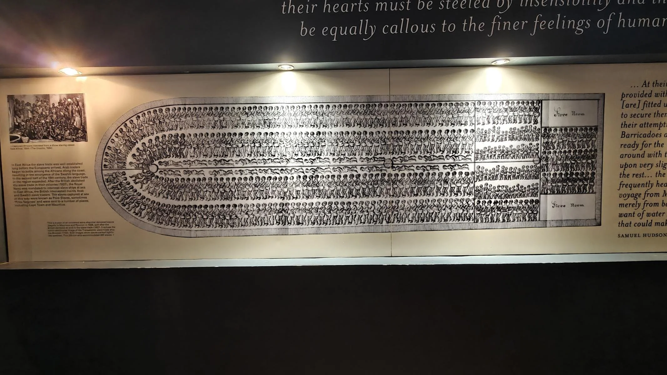 575.JPG