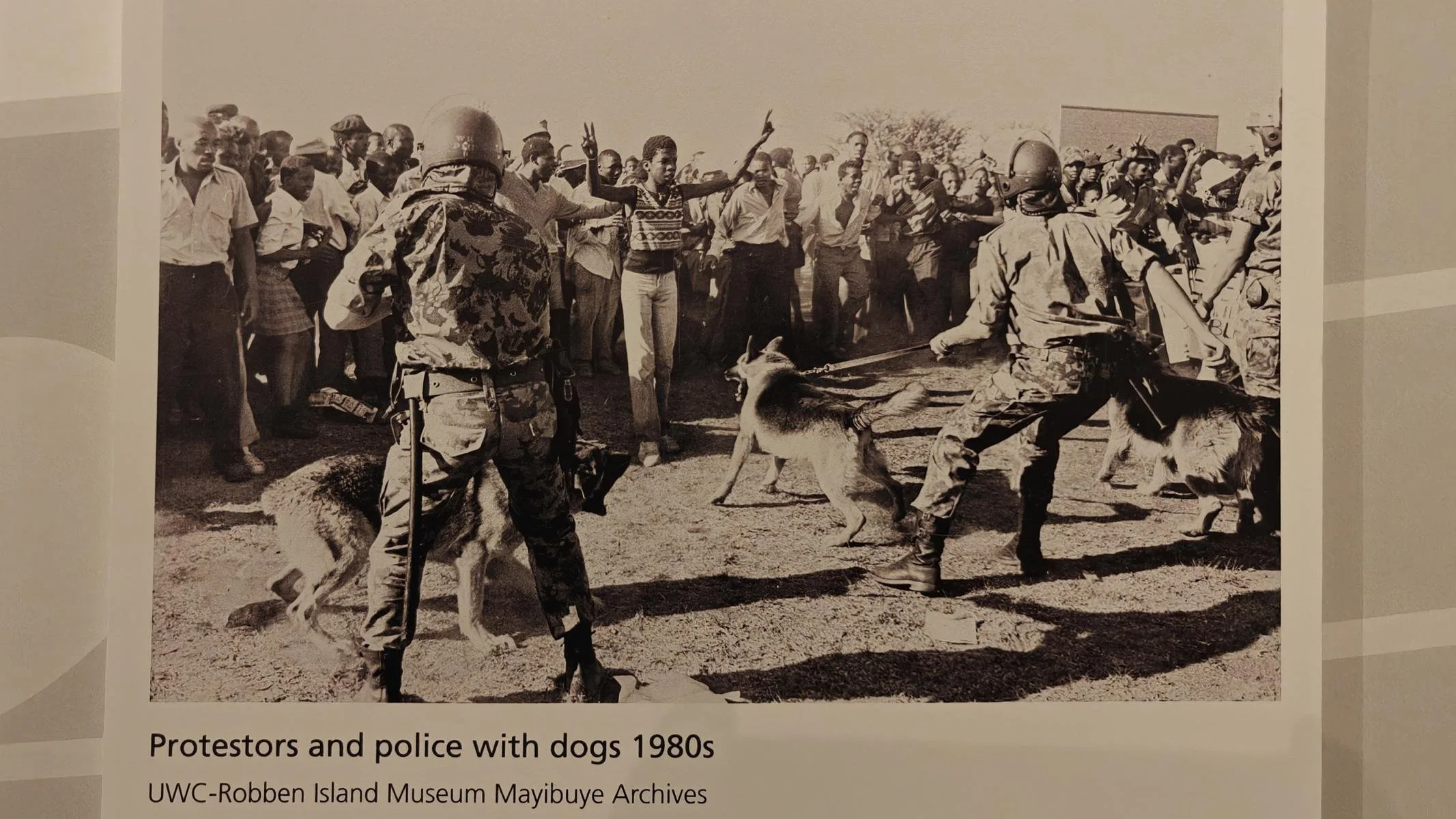 896.JPG