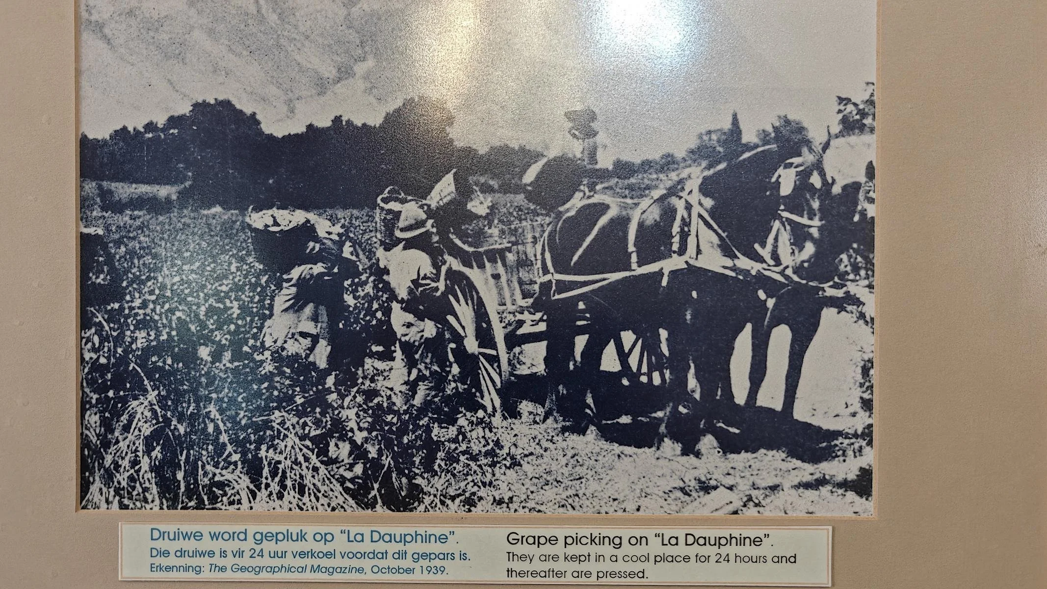 1875.JPG