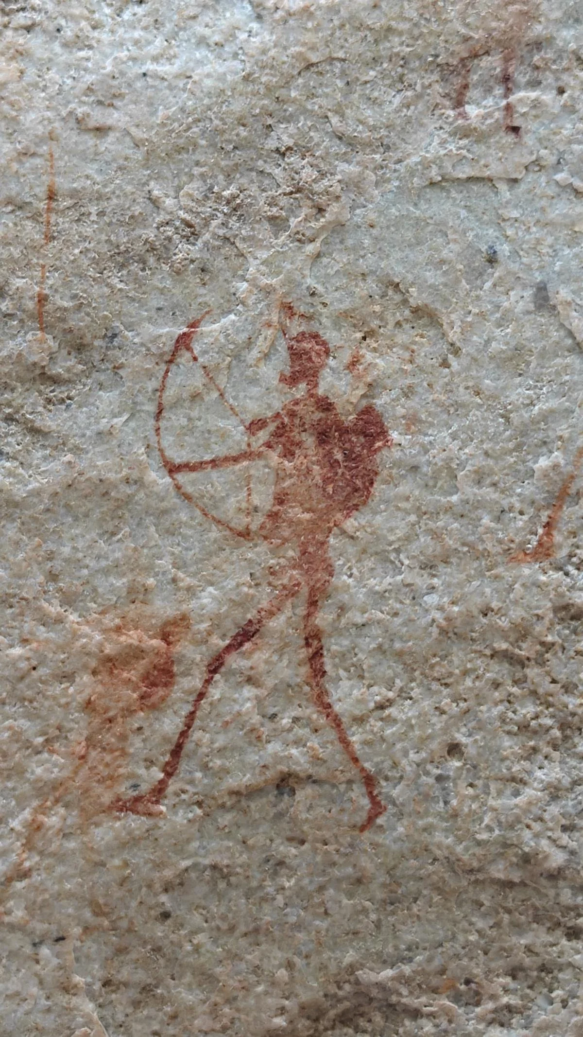 3241.JPG