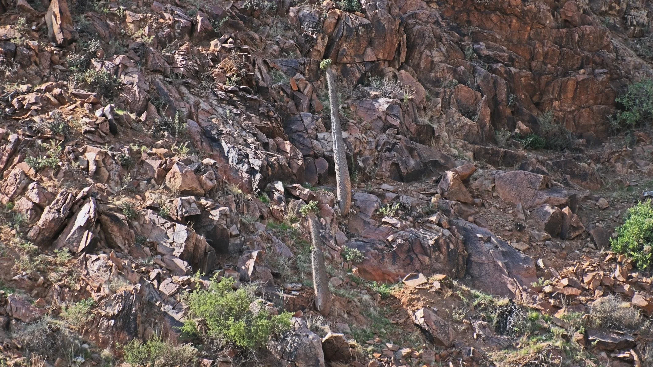 3550.JPG